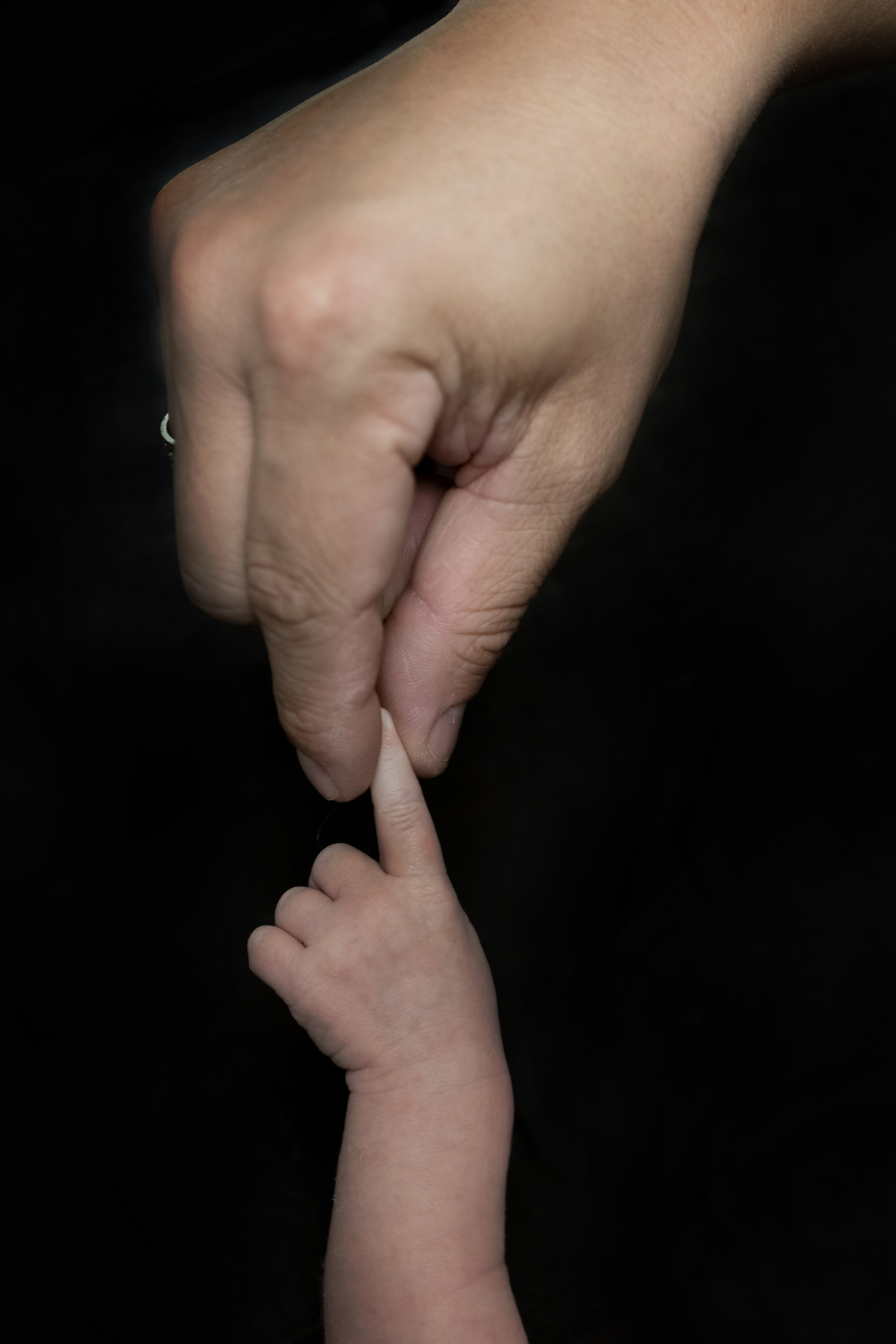 NEWBORN. Le_Dlu Фотограф Елена Длужинская