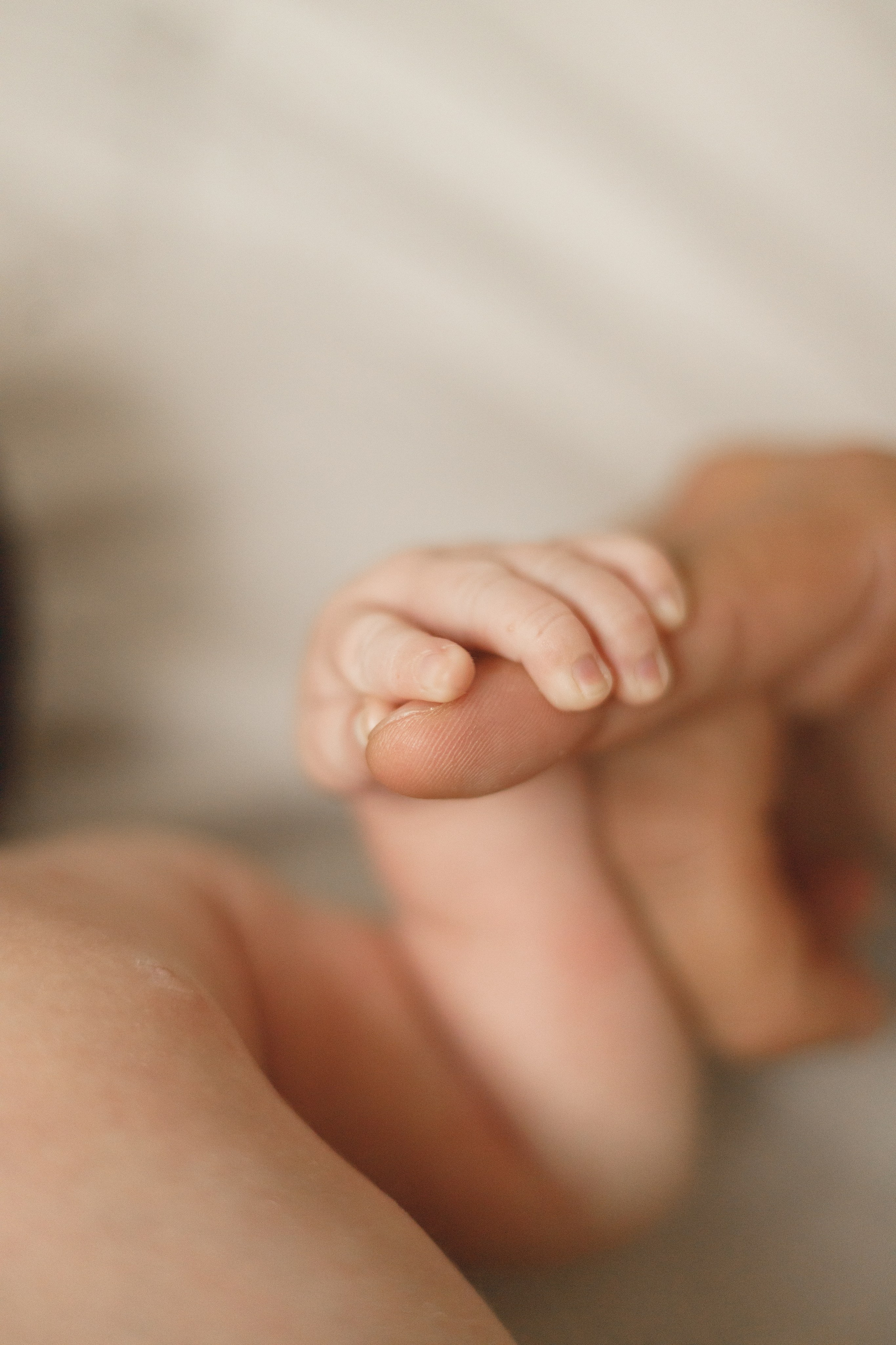 Новорожденные. Детский и семейный фотограф в Краснодаре Альбина Морозова