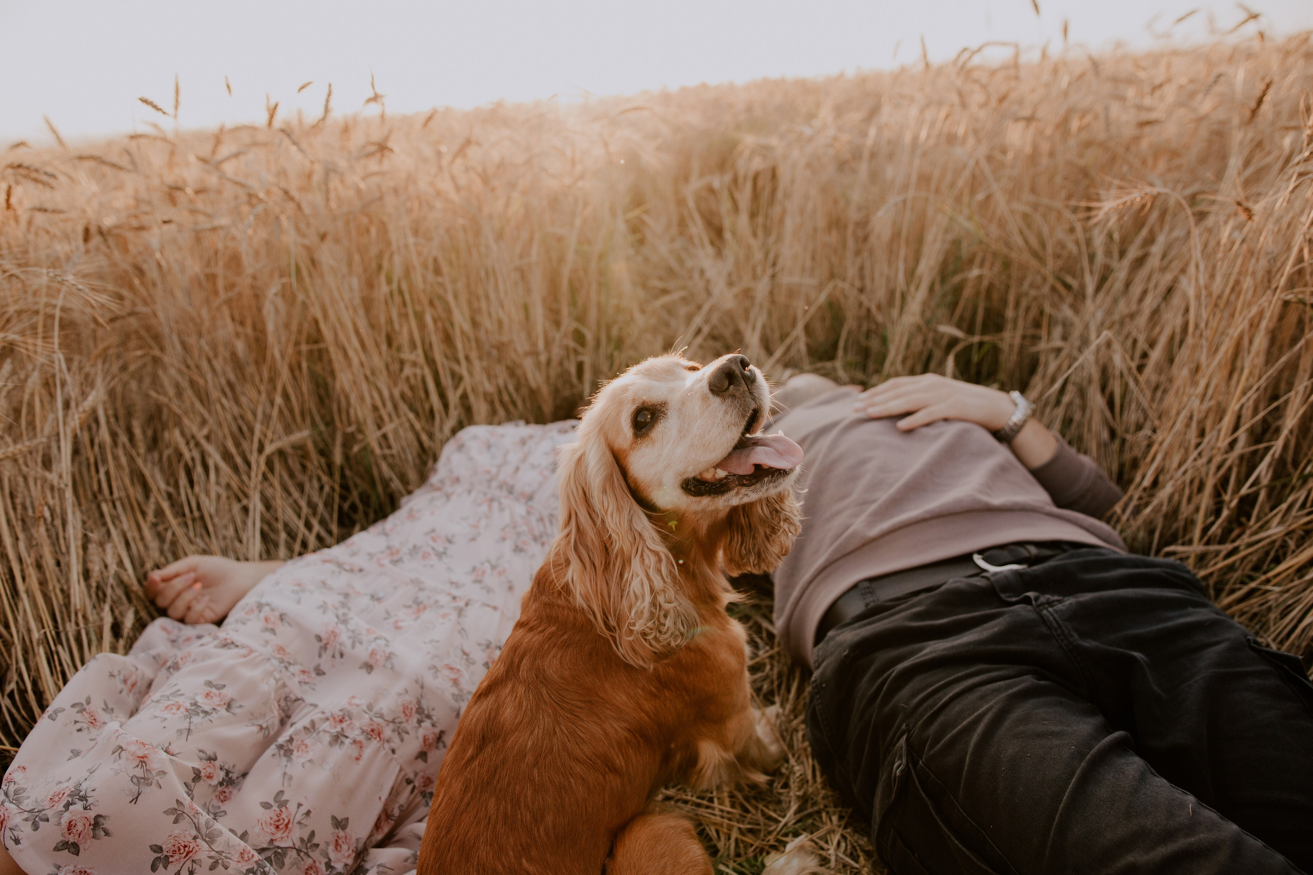 Валерий и Яна. Свадебный фотограф