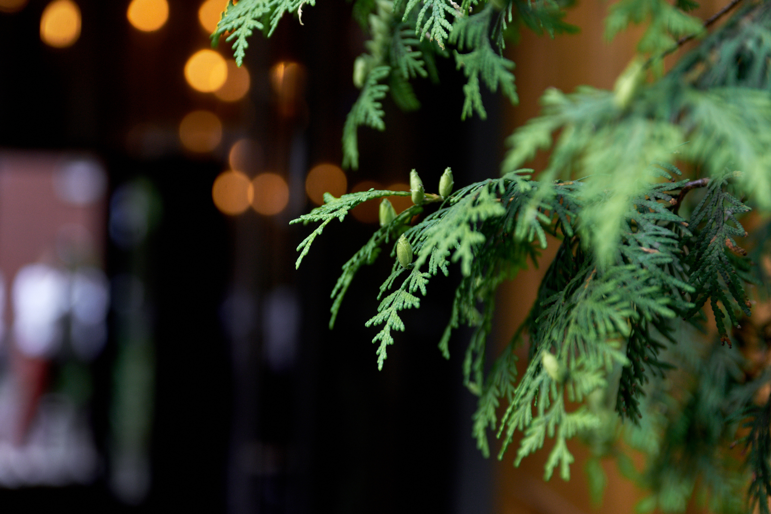 Репортажная съемка ТОП компаний. Свадебный фотограф в Москве Станислав Донченко