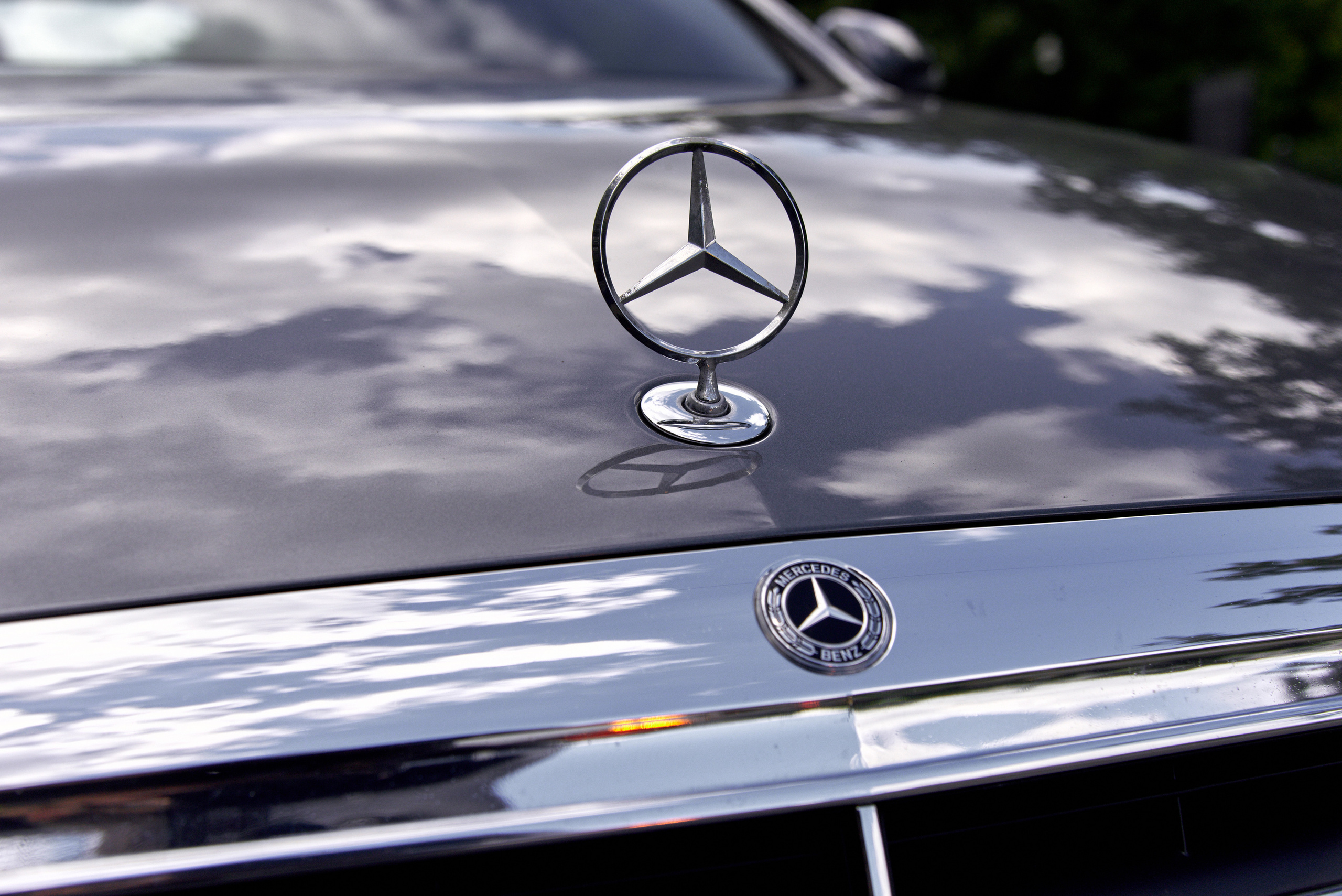 Свадебный фотограф в Москве Станислав Донченко