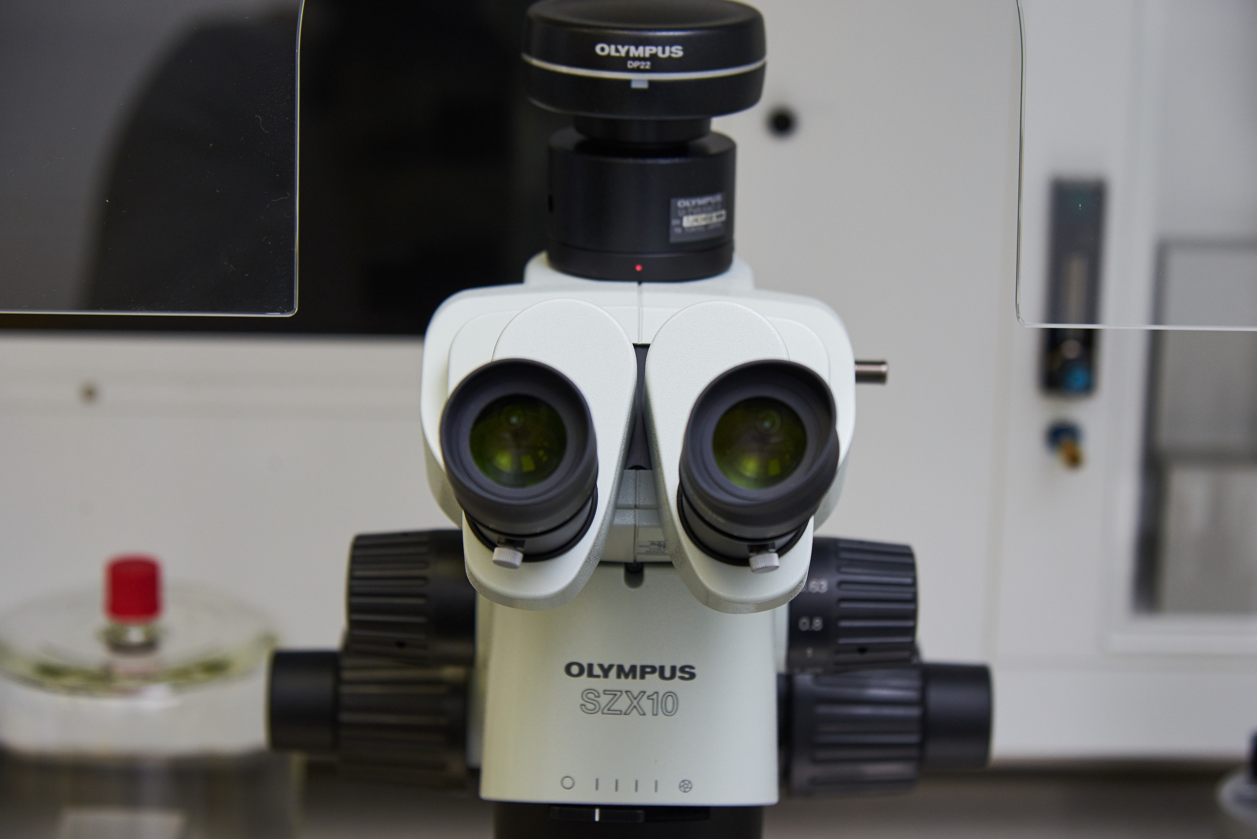 Репортажная фотосъемка. Свадебный фотограф в Москве Станислав Донченко