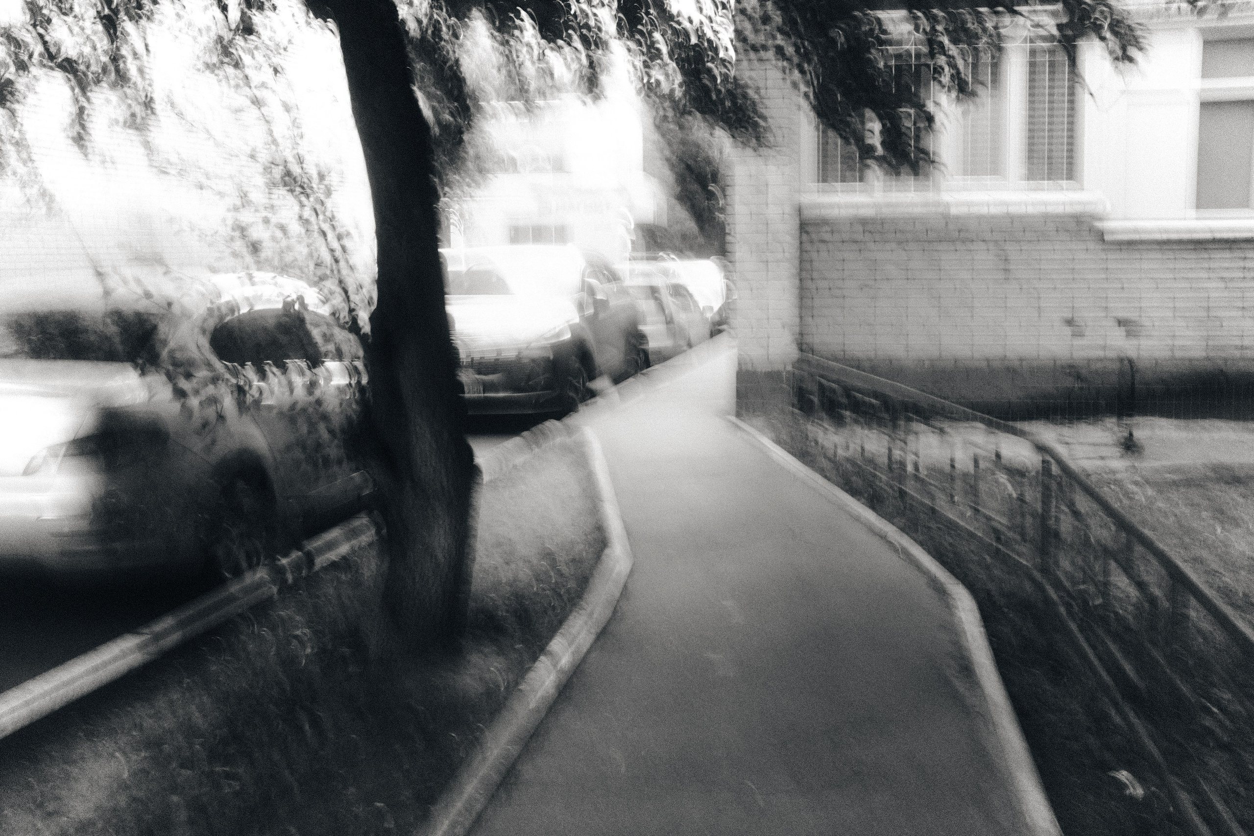 A B/W walk. Фотограф Антонина Гудкова