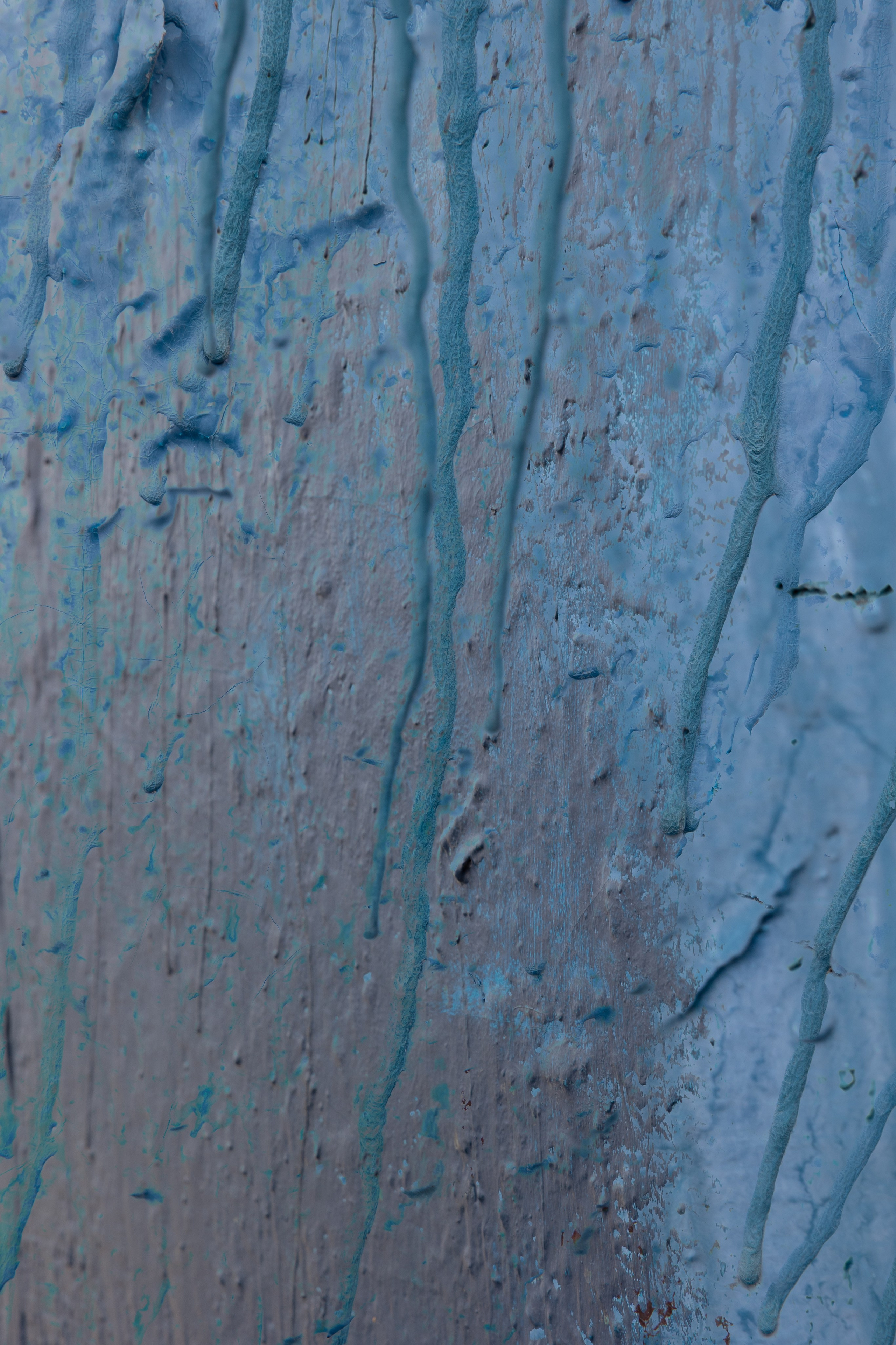 Art prints. Фотограф алина стерхова, алина стерхова фотограф, фотограф москва