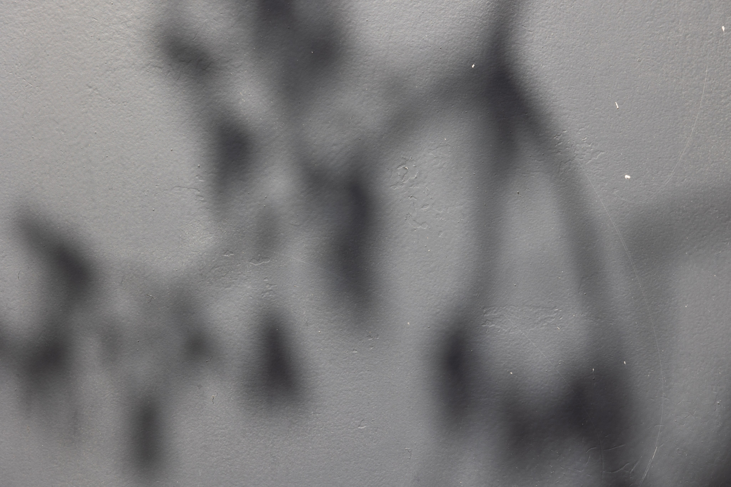 Art prints. Фотограф алина стерхова, алина стерхова фотограф, фотограф москва