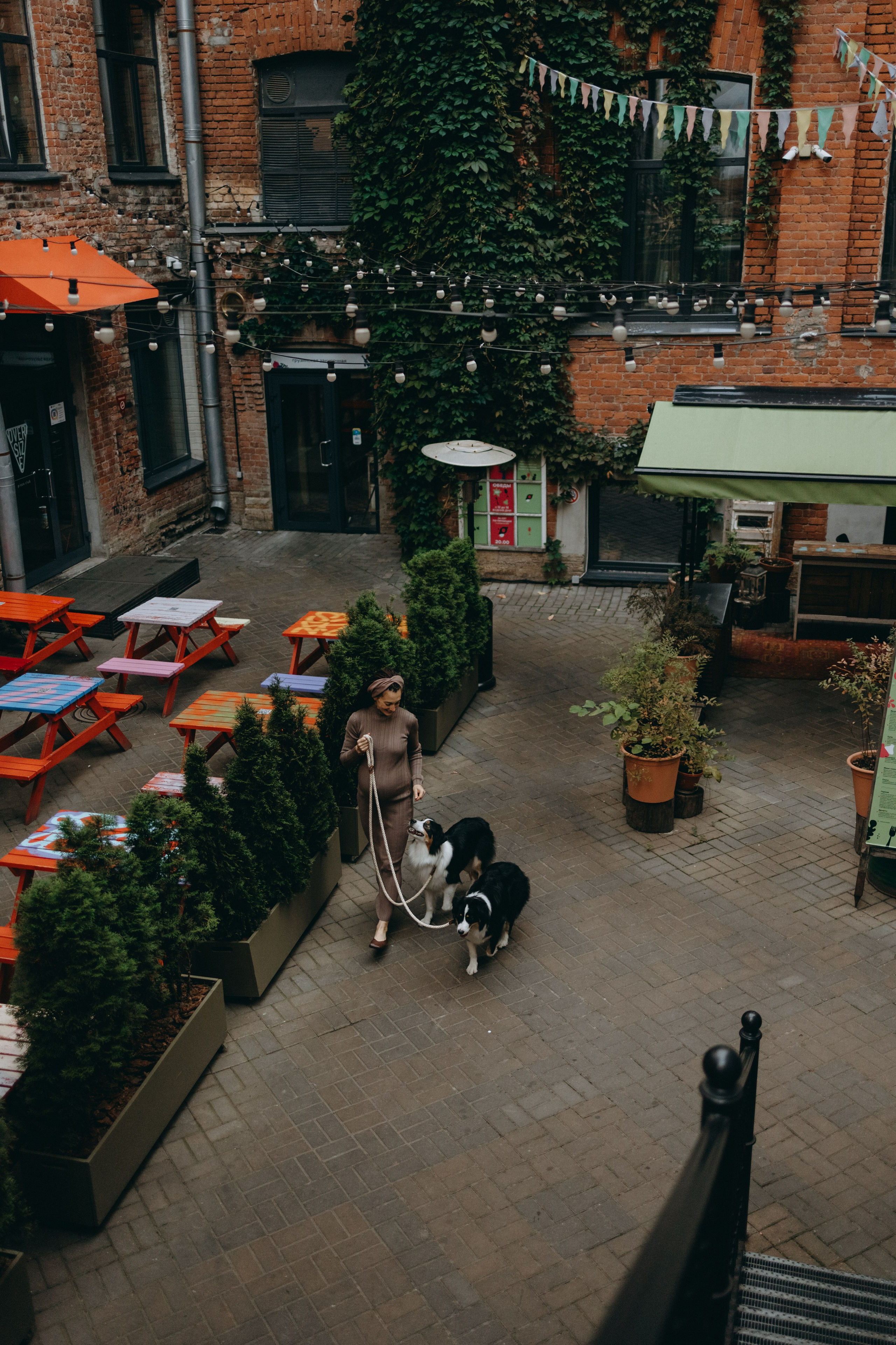 Катя и ее девочки. Фотограф — Анималист | Санкт-Петербург