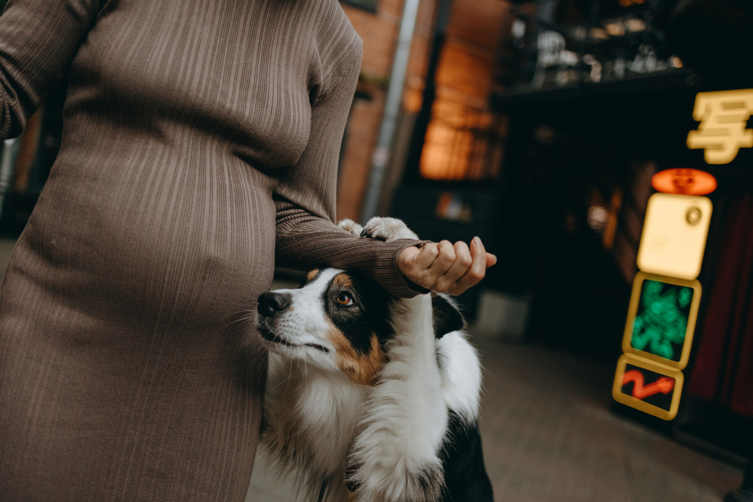 Катя и ее девочки. Фотограф — Анималист | Санкт-Петербург