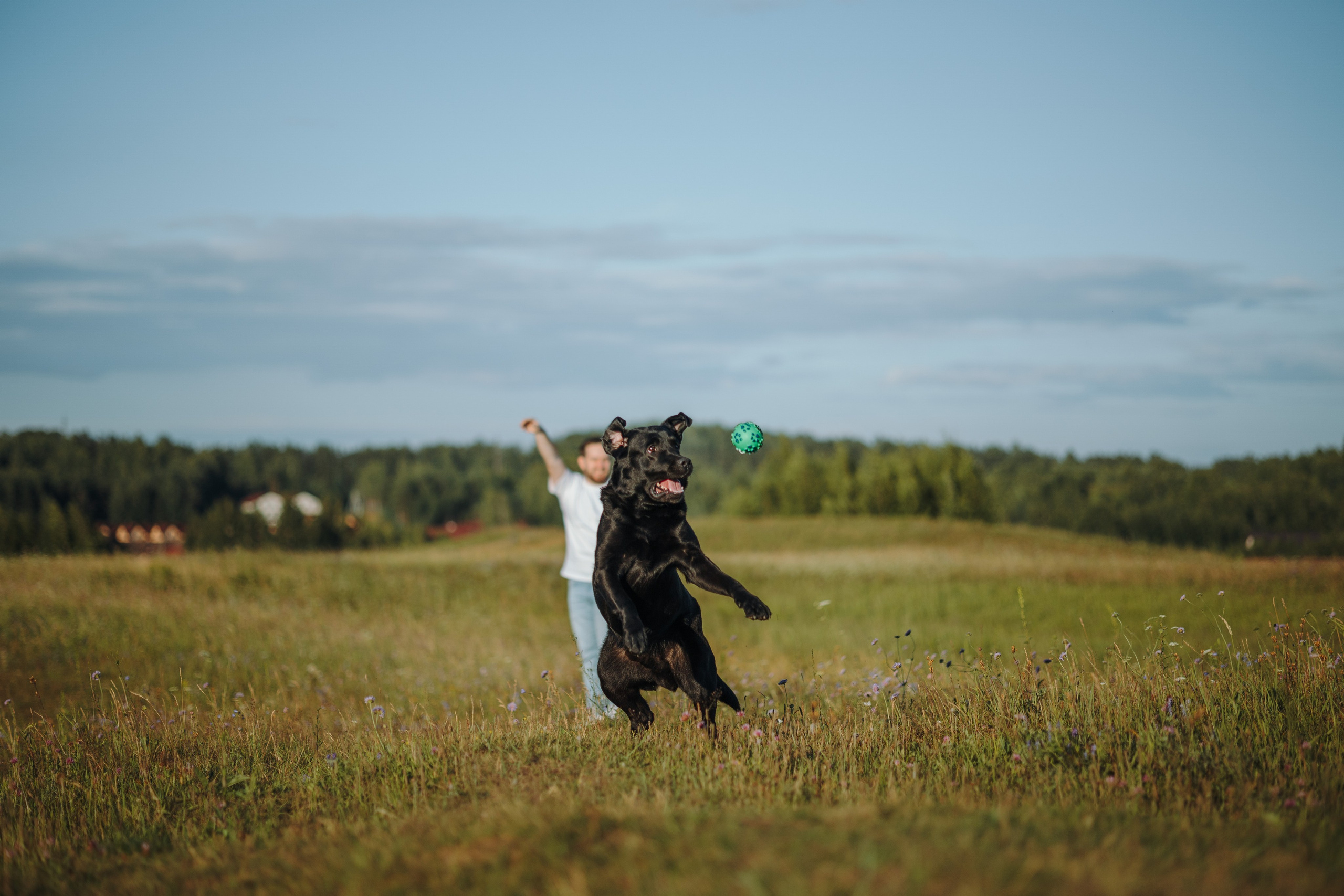 Бомбей и его семья. Фотограф — Анималист | Санкт-Петербург