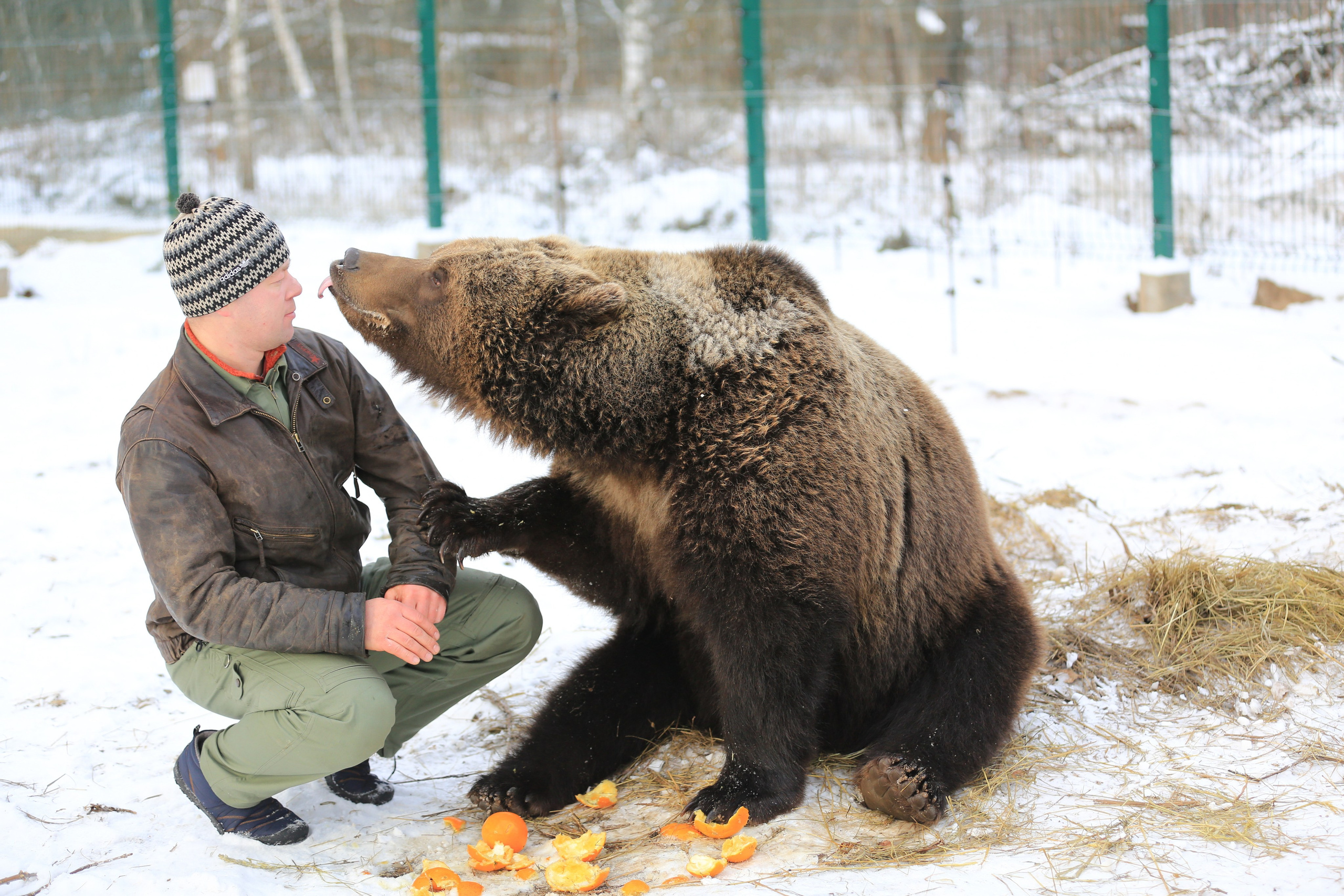Медведь Мансур. Фотоальбом показывающий увлекательный мир авиации и мир медведей Андрея Иванова