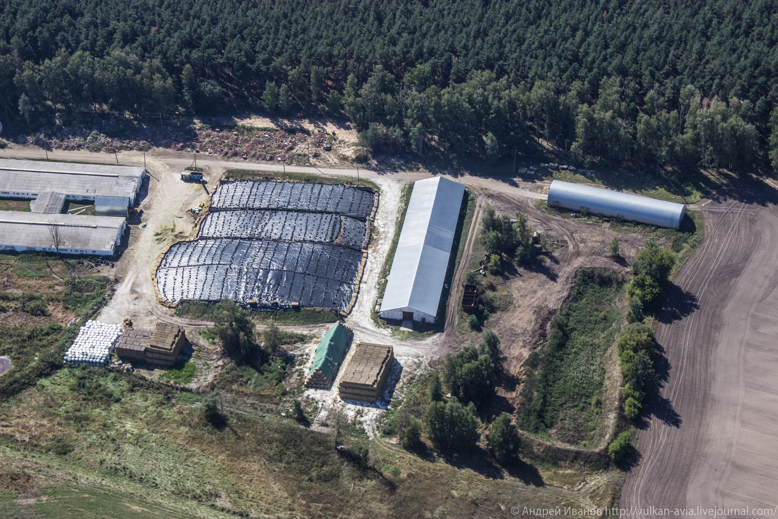 Волгодонск аэр. Потапов слёт «Небо для всех» (2021 г.). Фотоальбом показывающий увлекательный мир авиации и мир медведей Андрея Иванова