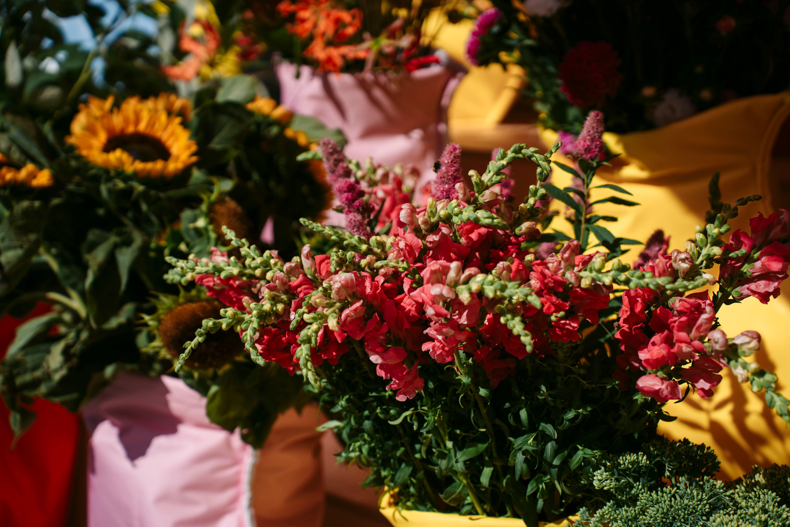 Маркет Маркета. Петербург / 2025. Саша Копылов, фотограф в Казани