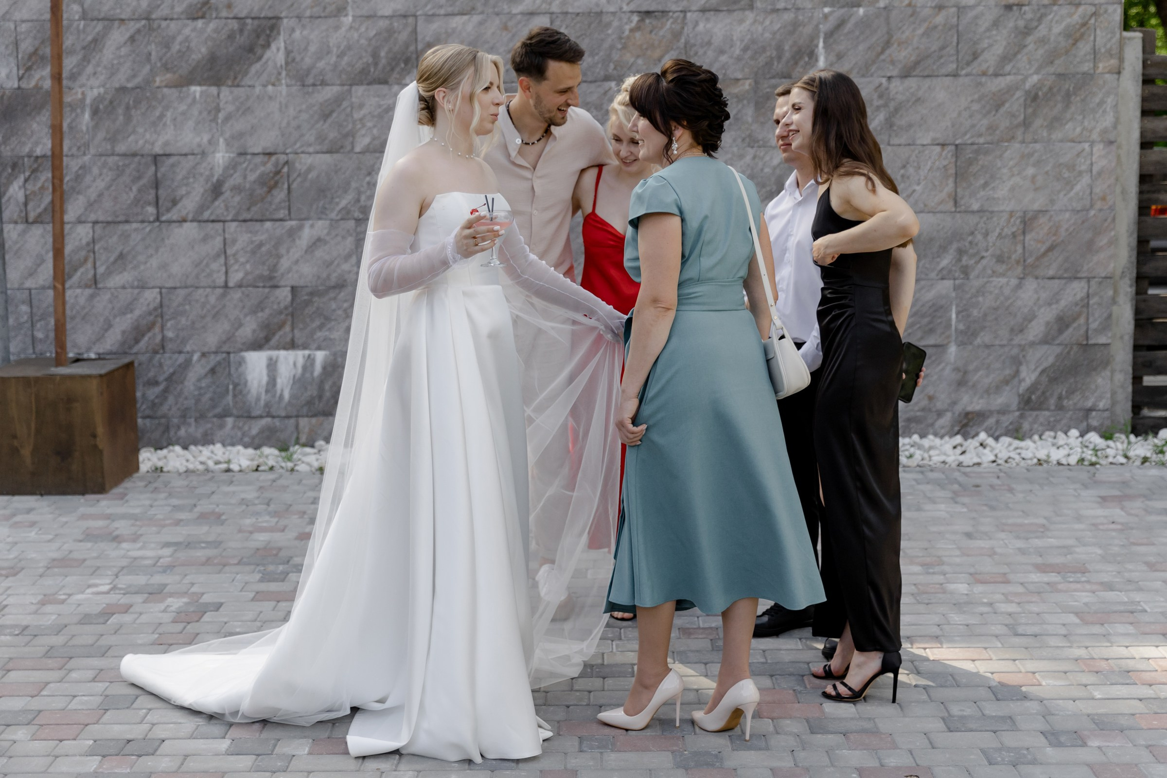 Свадьба пес и котики. Dima Lemeshevsky