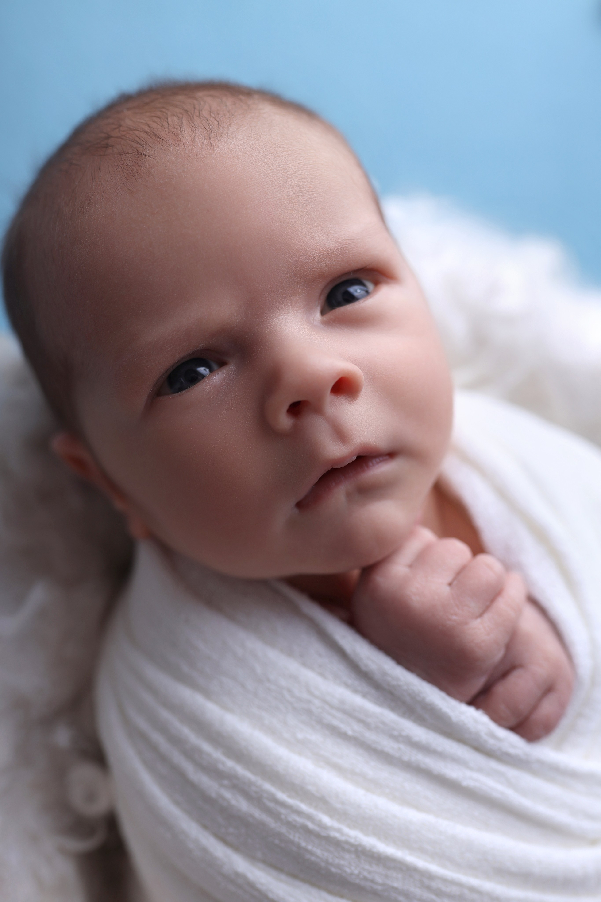 Newborn мальчики. Фотограф новорожденных Модяева Ирина