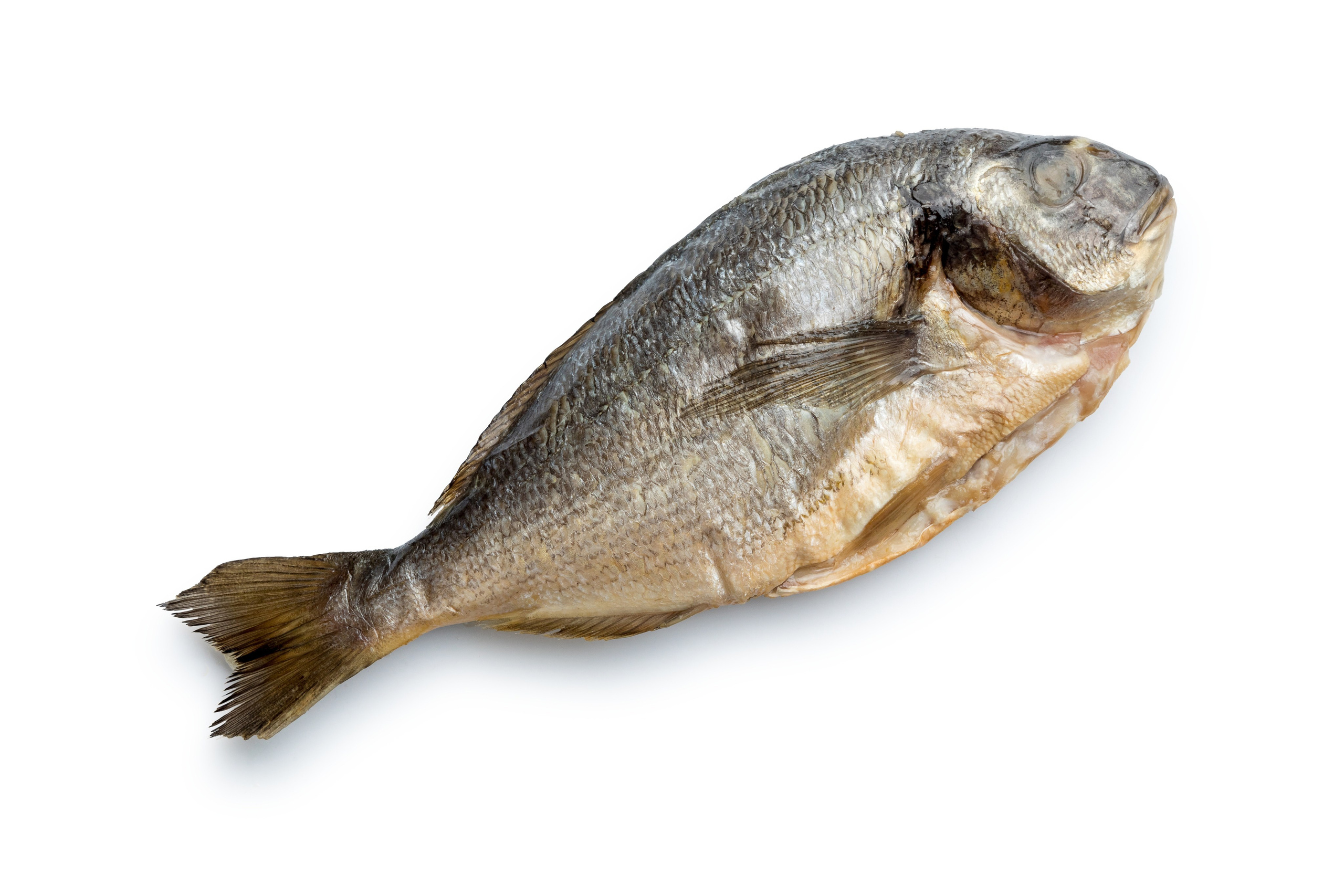 Сырое на белом. Фуд-фотограф Гумеров Ильдар