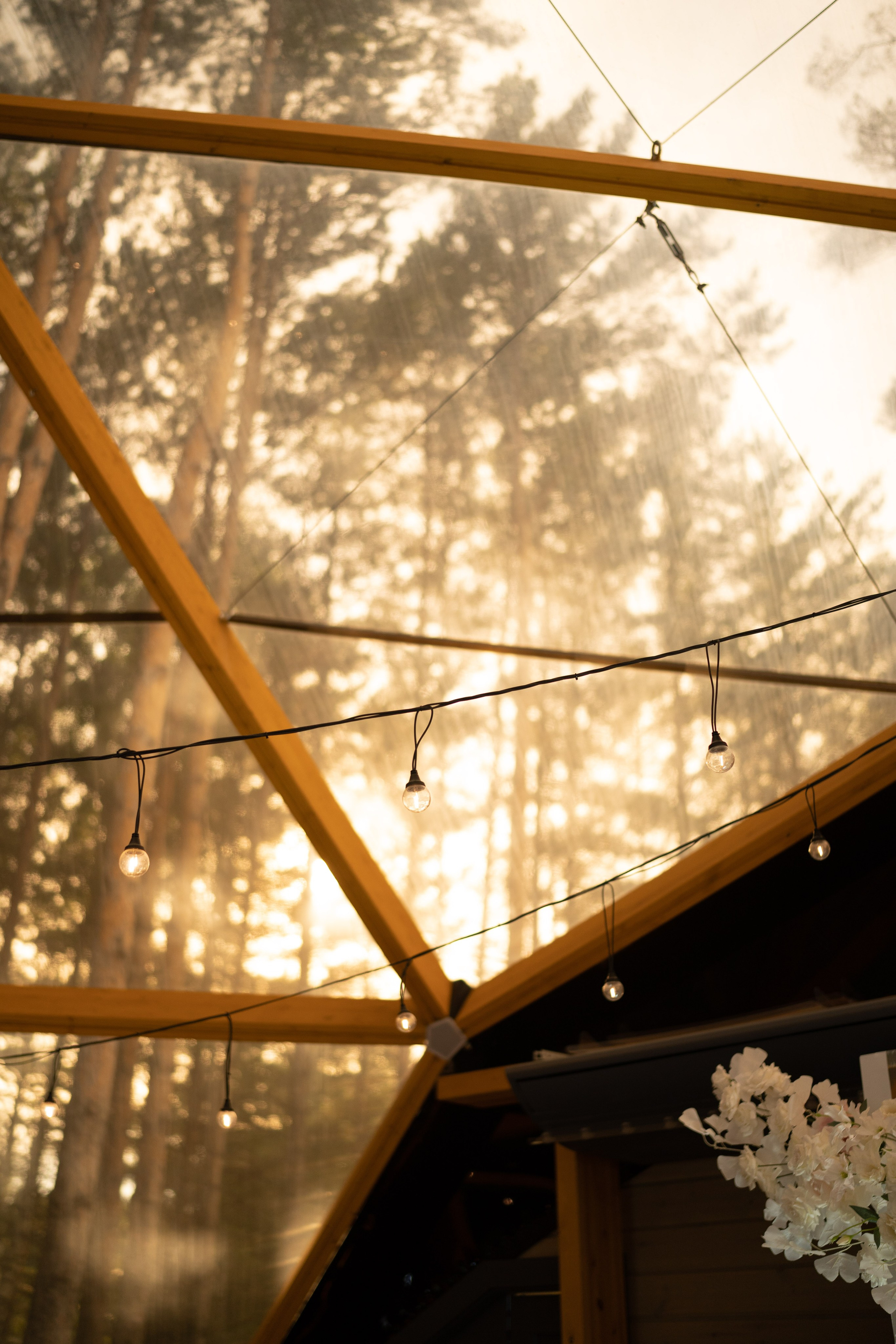 Таисия & Александр. Моменты и истории о вас настоящих