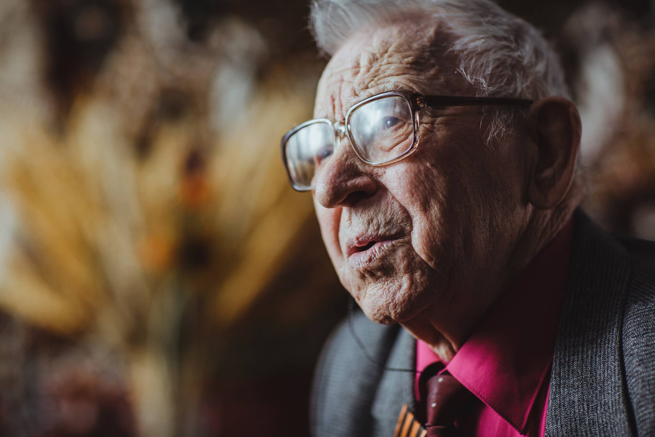 Ветеран Великой Отечественной Войны, портрет