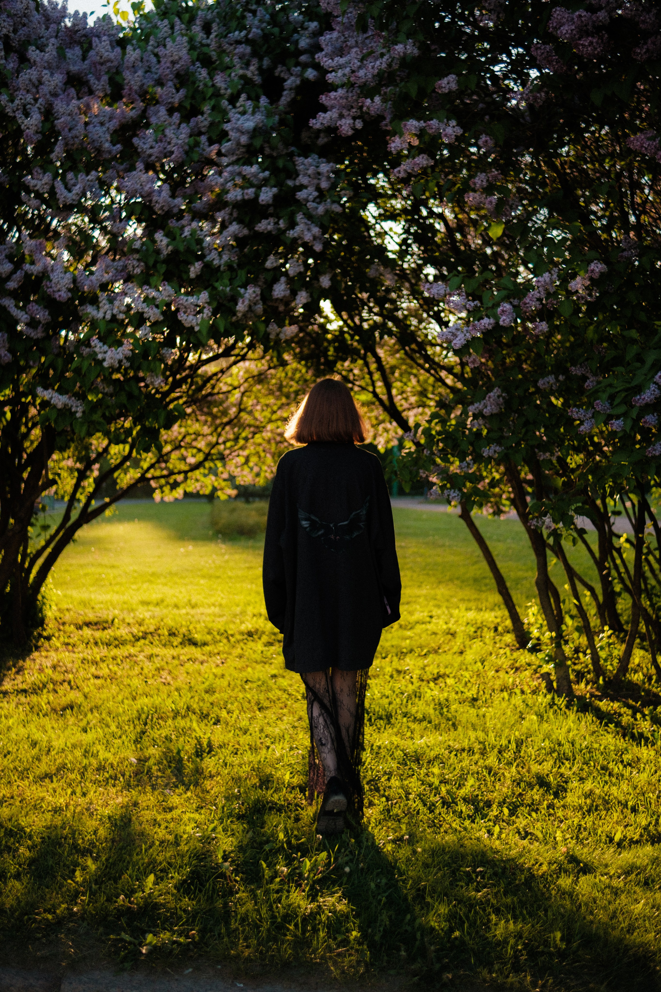 Утром на марсовом поле. Михаил Долганов