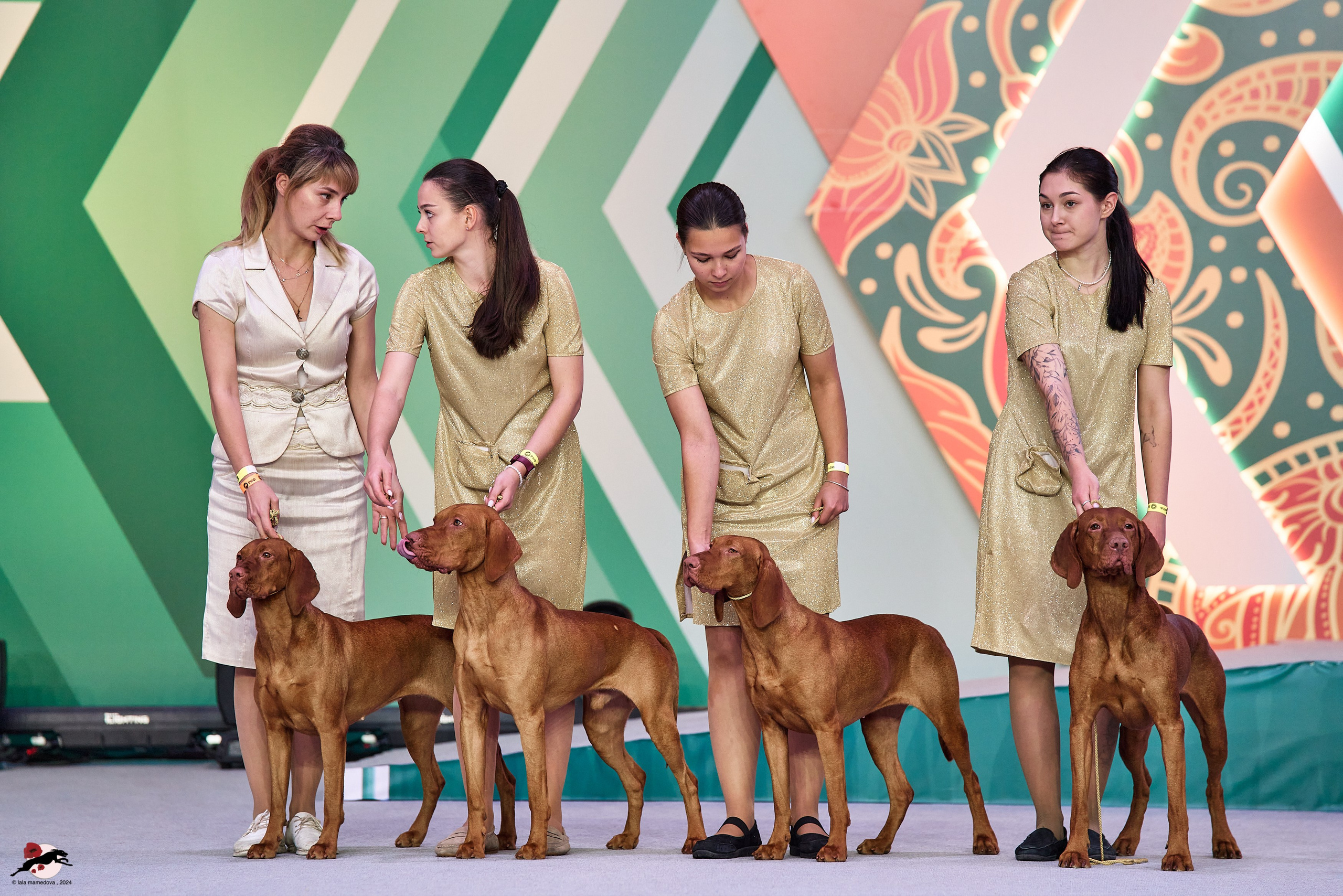 17.11.2024 «ЕВРАЗИЯ. КУБОК СНГ 2024»