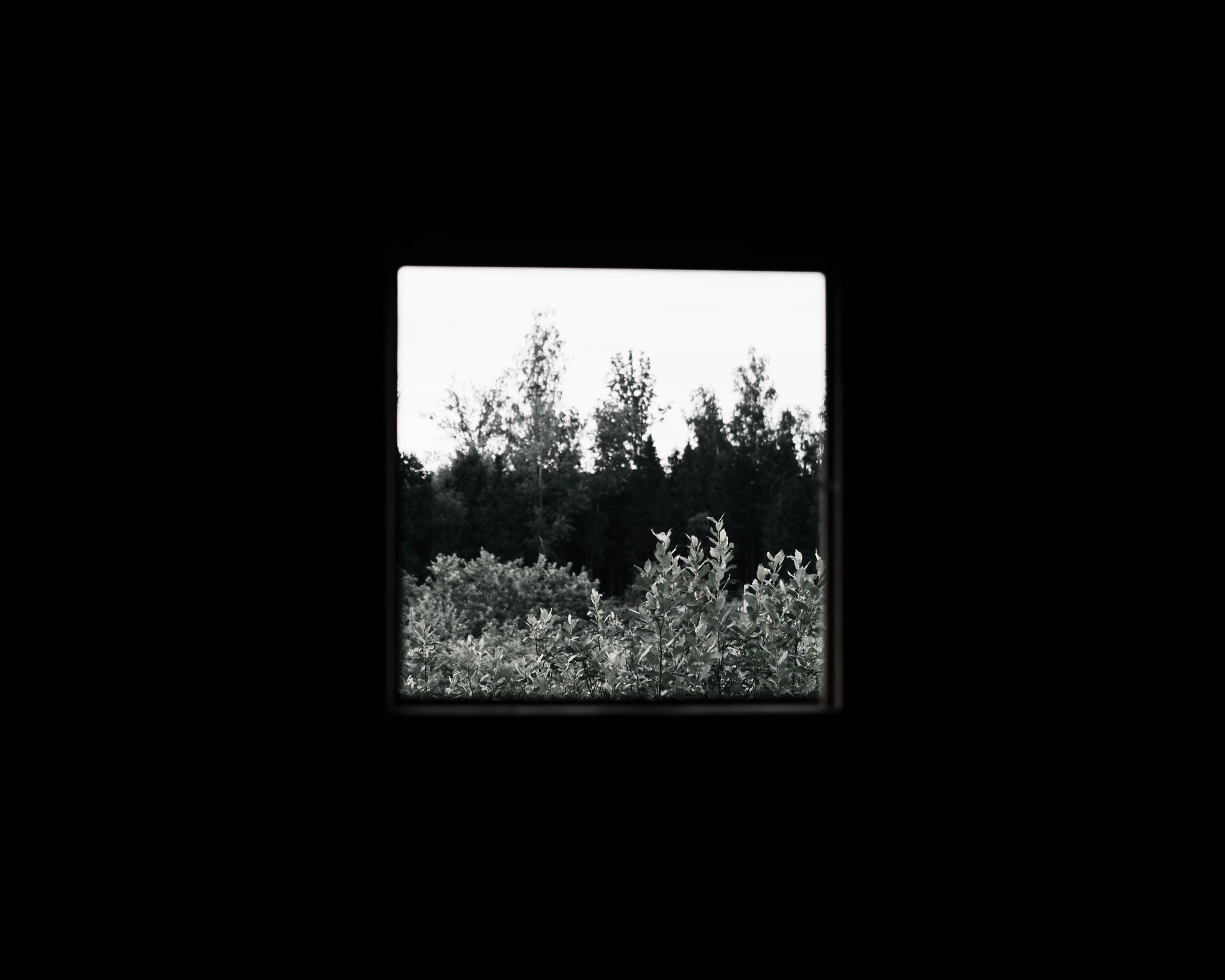 Природа. Фотограф Маргана Лоция