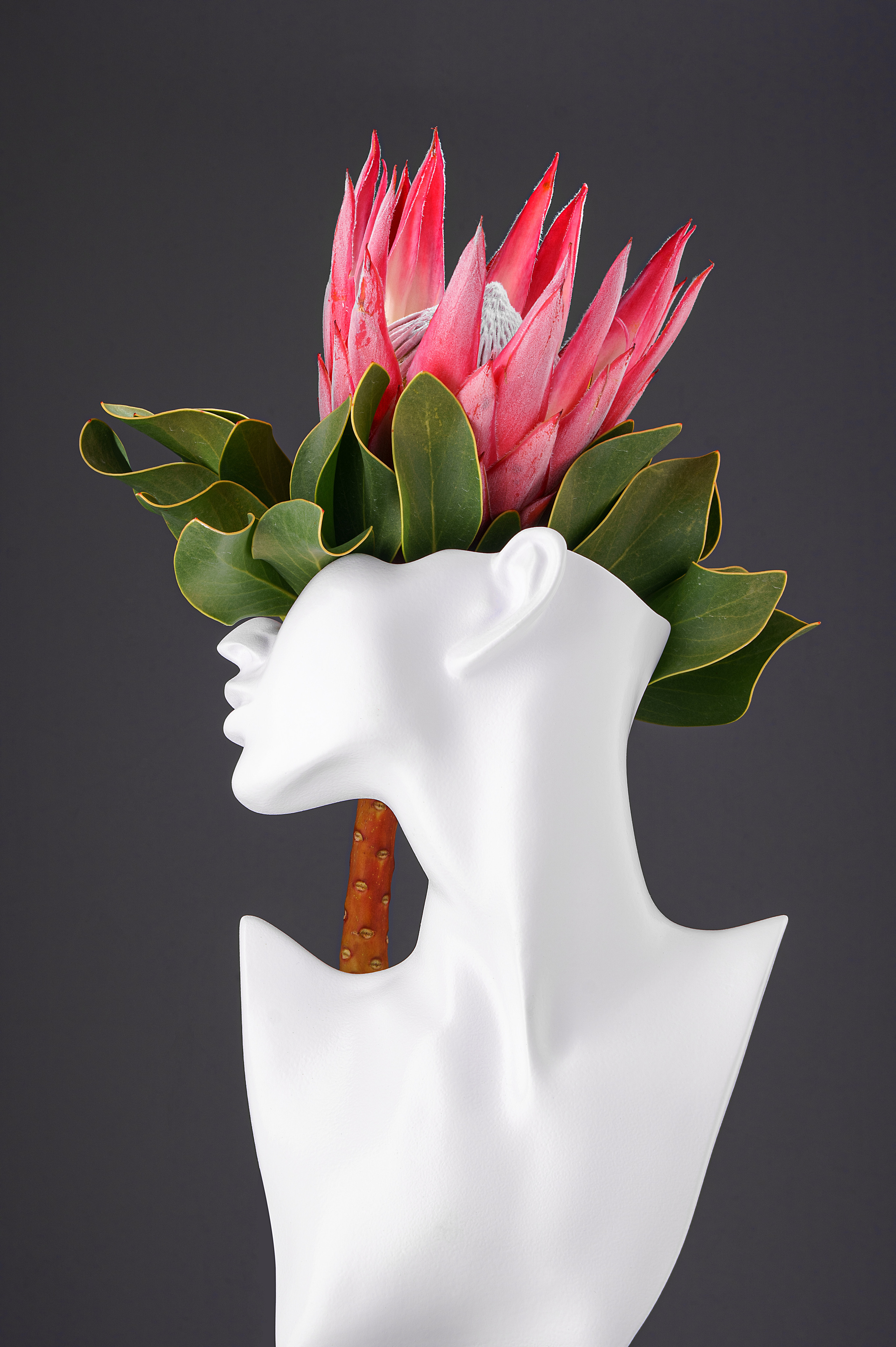 Портфолио рекламного фотографа. Яна Каменская