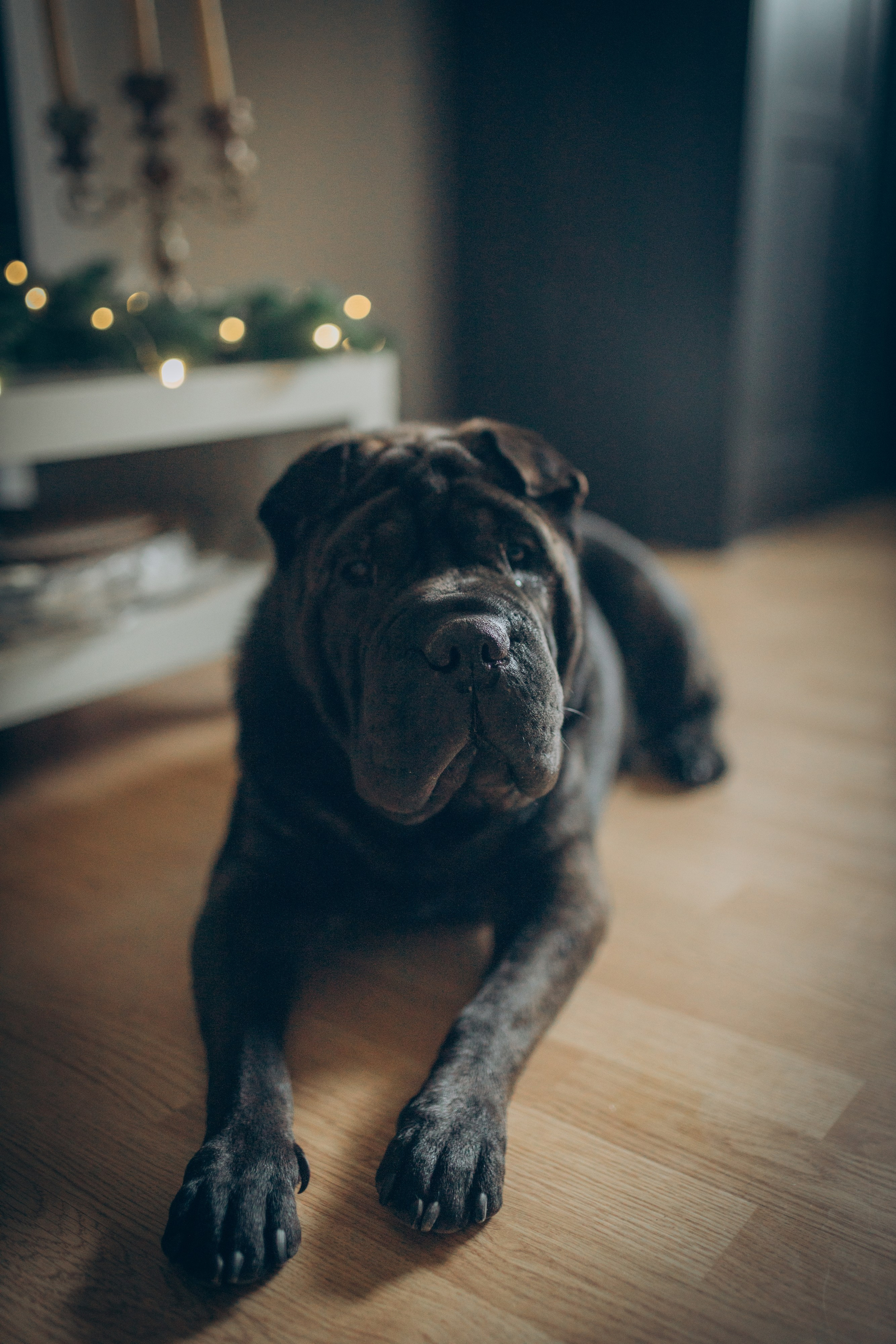 Дана. Семейный фотограф и фотограф на роды в Ростове-на-Дону Мухина Виктория