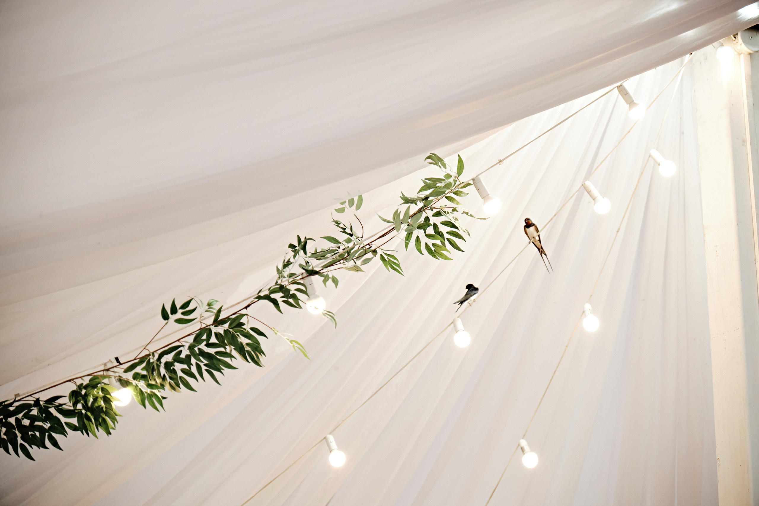 Снежана и Алексей