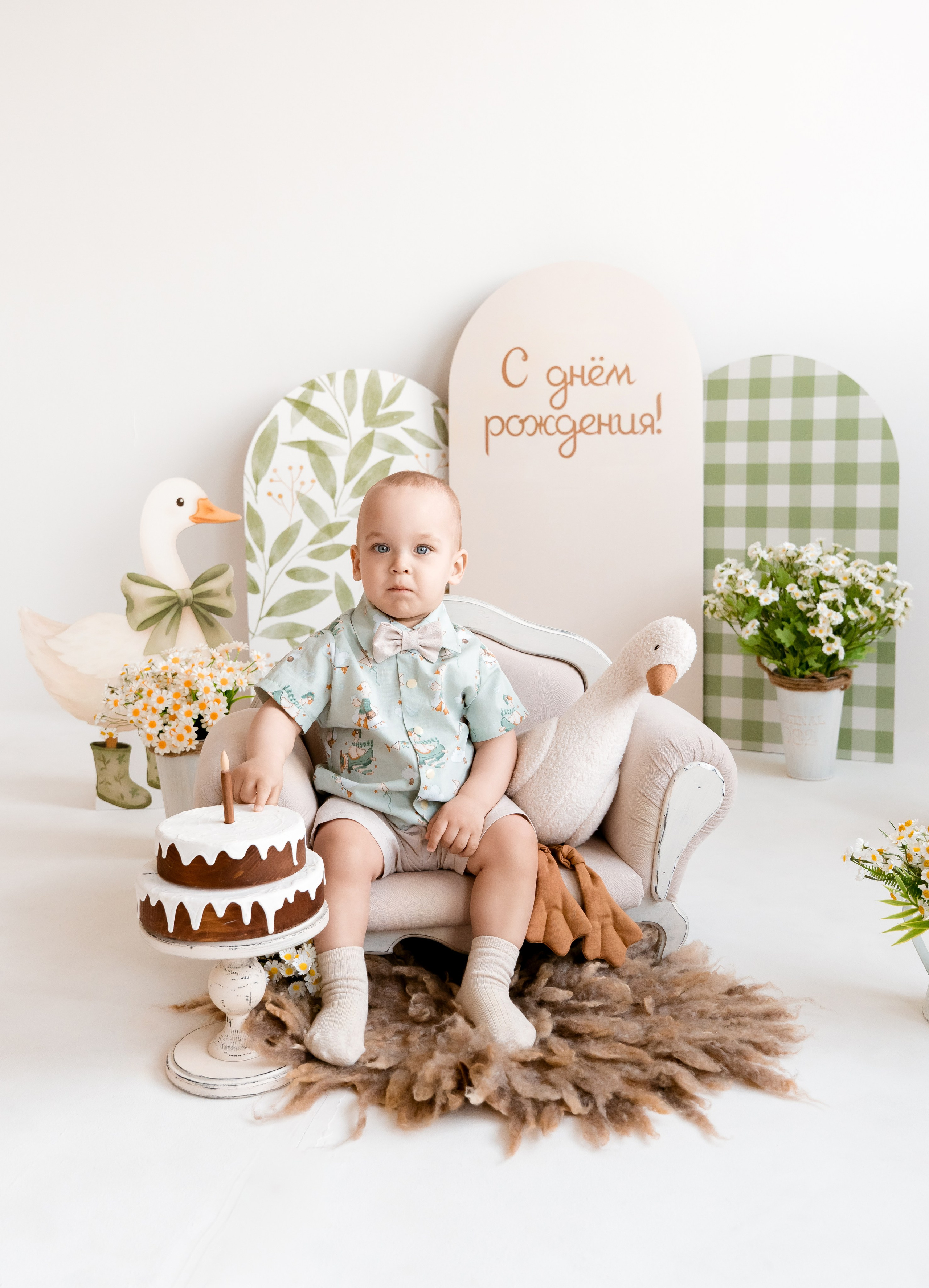 Гуси. Детский и семейный фотограф, Newborn фотограф новорожденных г. Челябинск