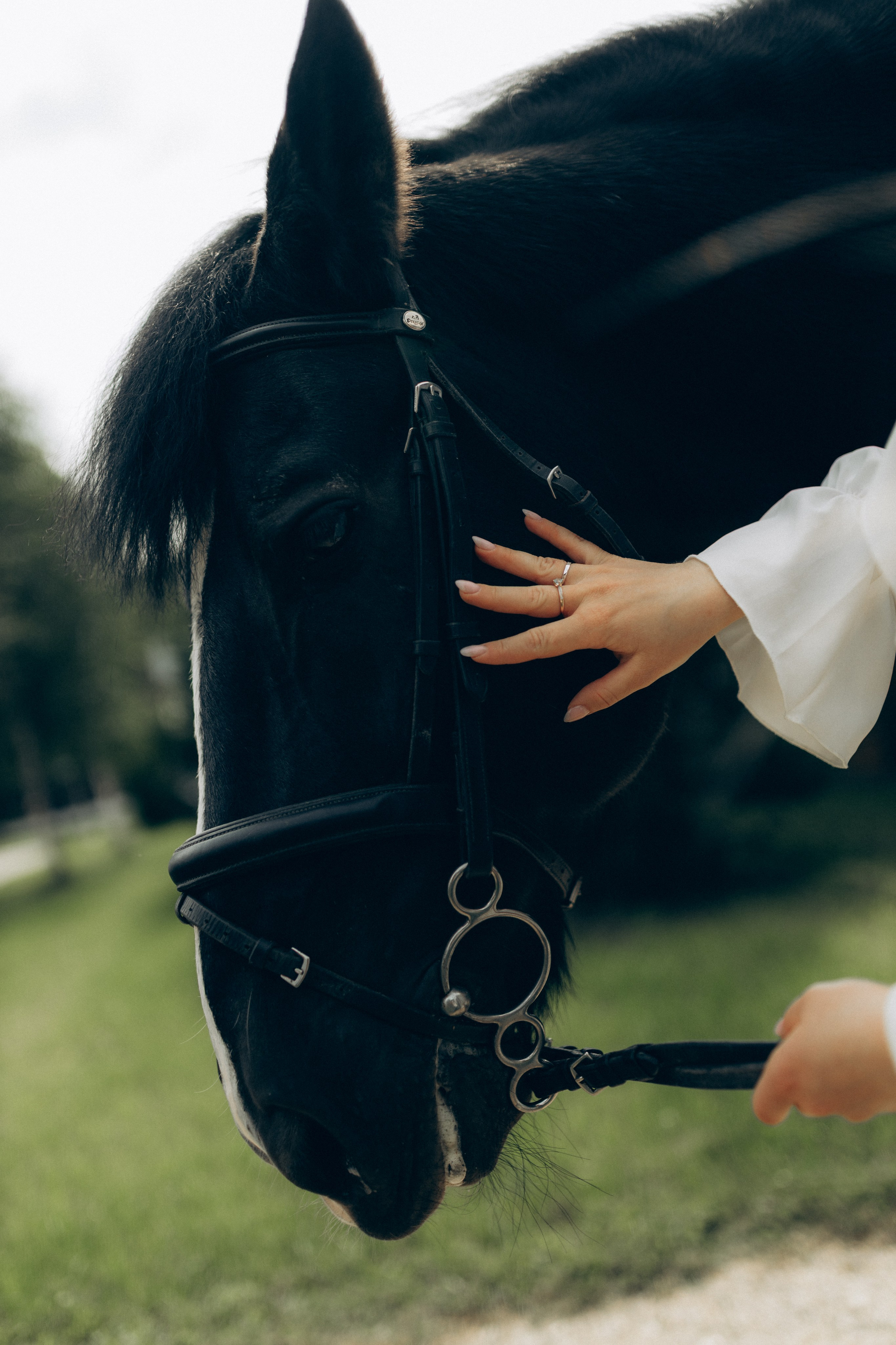 Аня. Фотограф НОГИНСК, Москва, Анастасия Белая