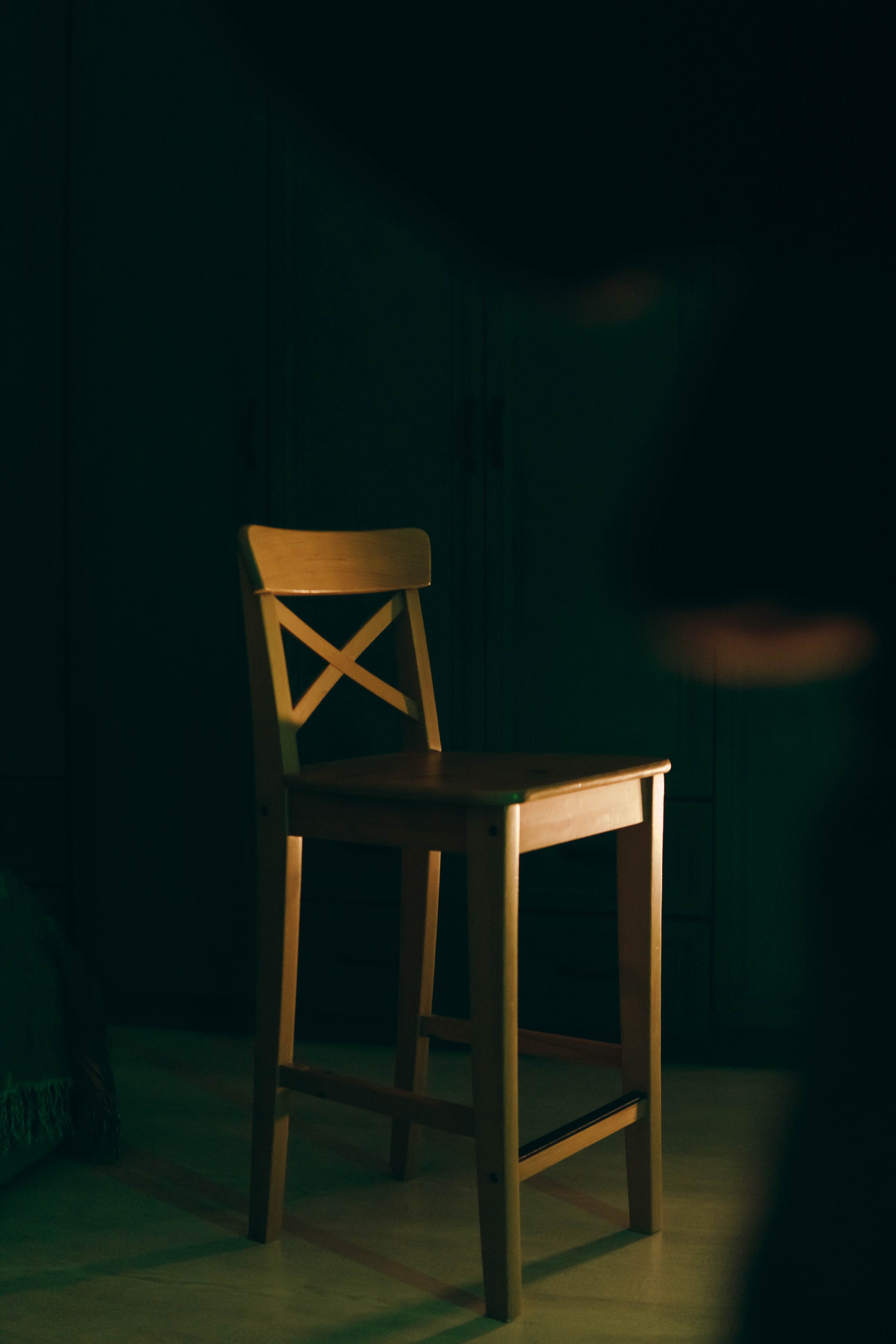 Милена. Фотограф-анималист Ксения Воробьева, Москва