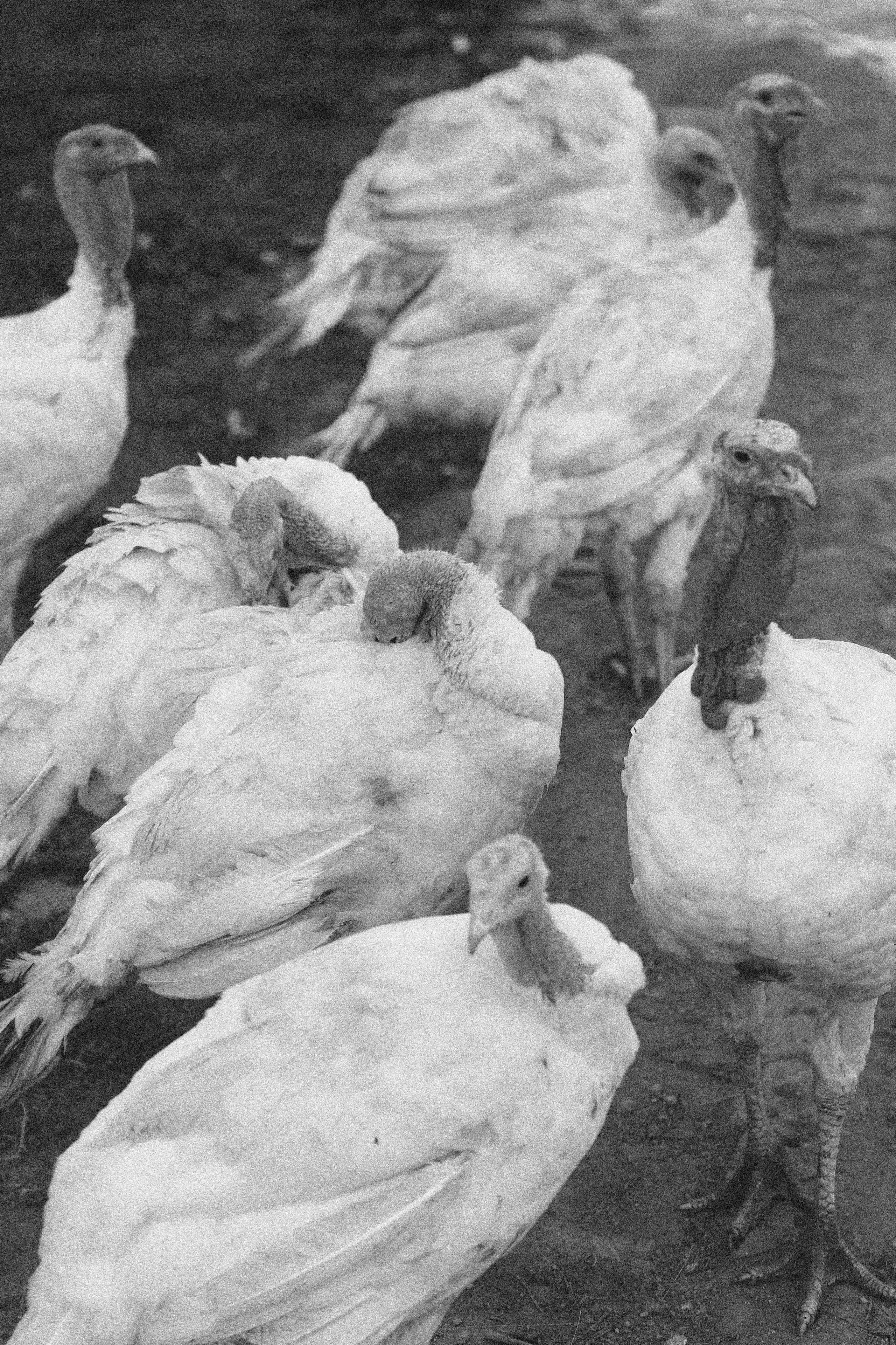 Съемка контента для SMM. Фотограф в Москве Черниговцева Анастасия