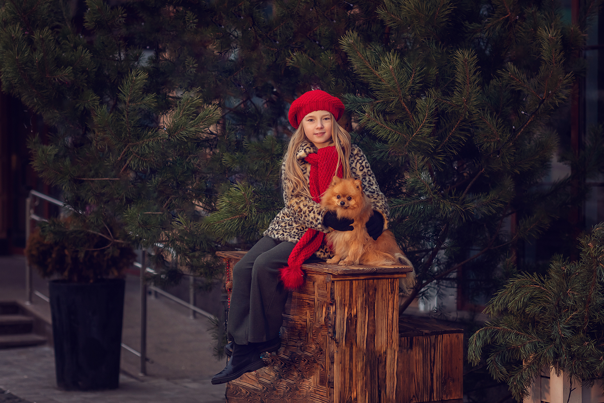 Новый Год. Семейный фотограф в Минске Виктория Дубровская
