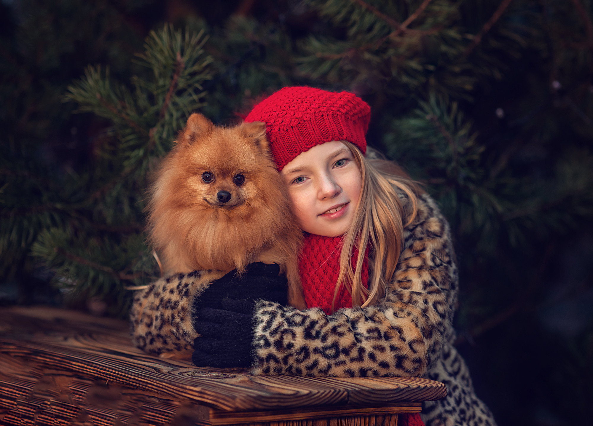 Новый Год. Семейный фотограф в Минске Виктория Дубровская