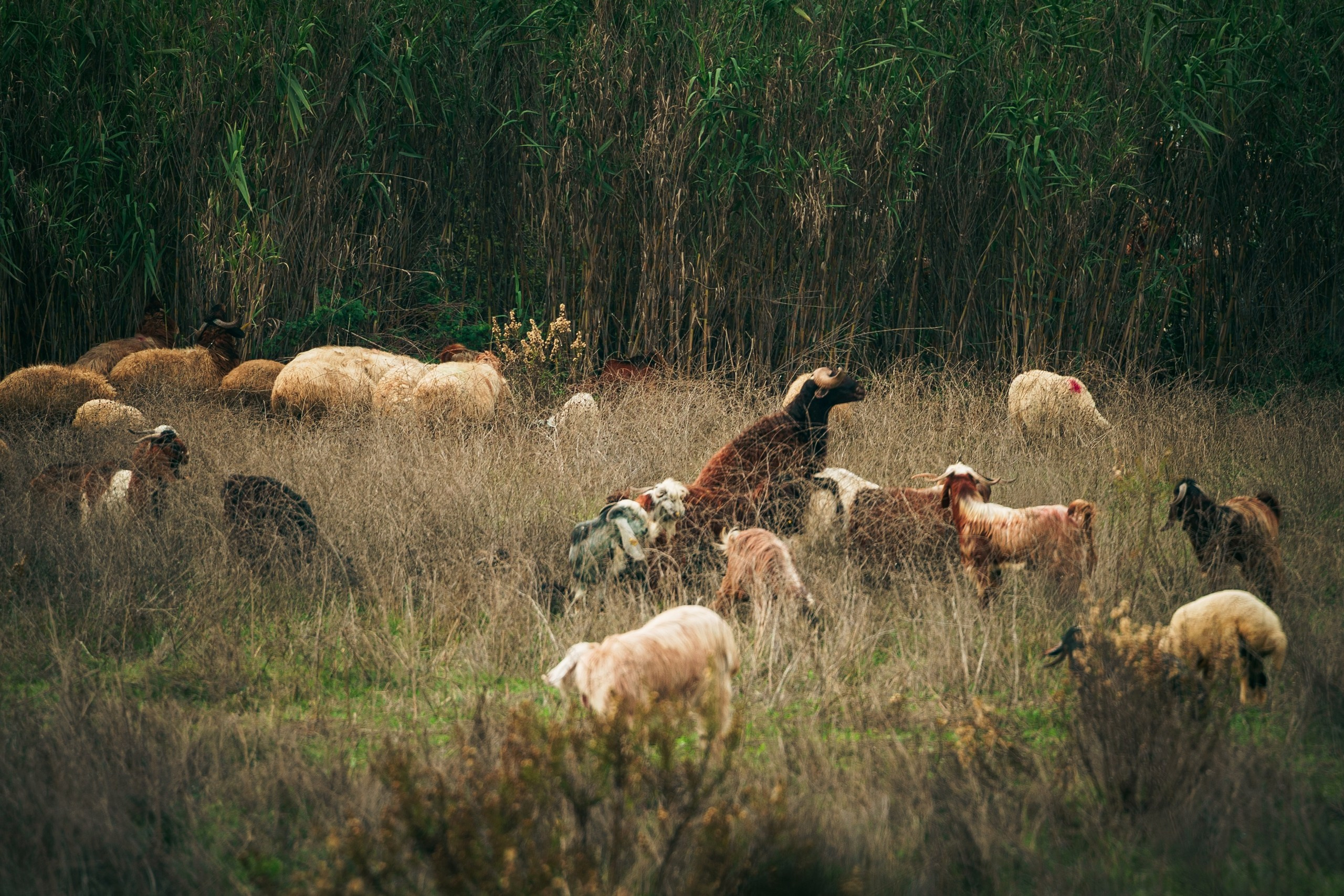 фототуры 2026