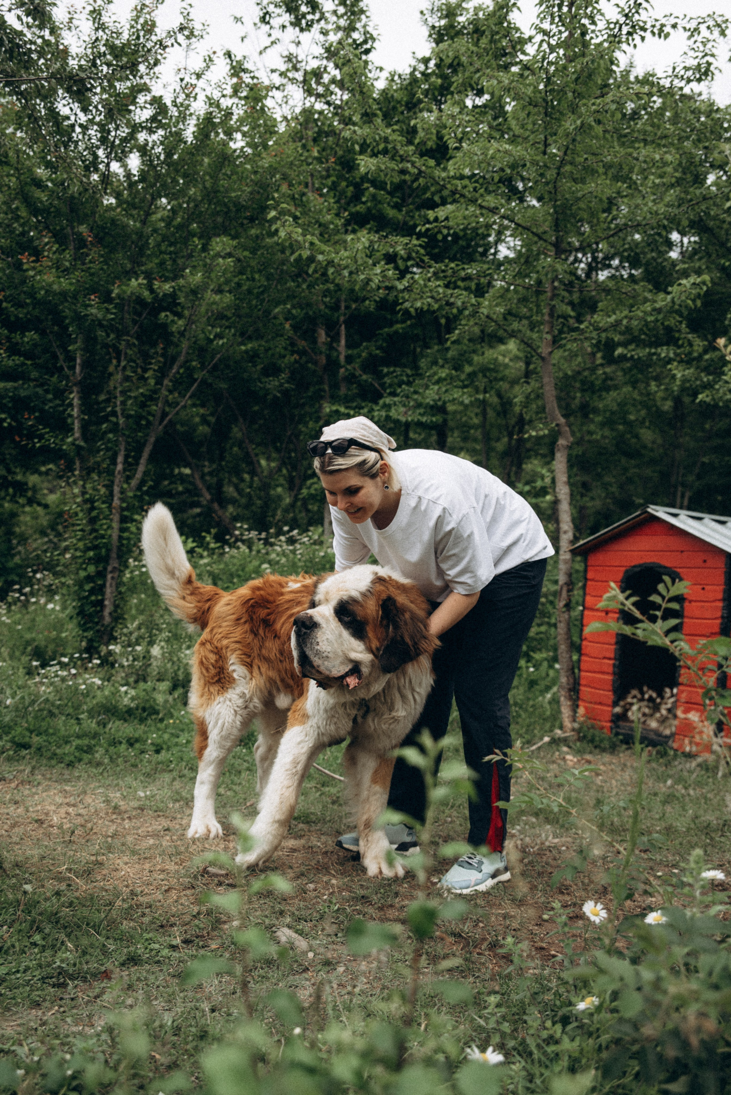 Медвежий приют, Грузия 🇬🇪. Anita_photo