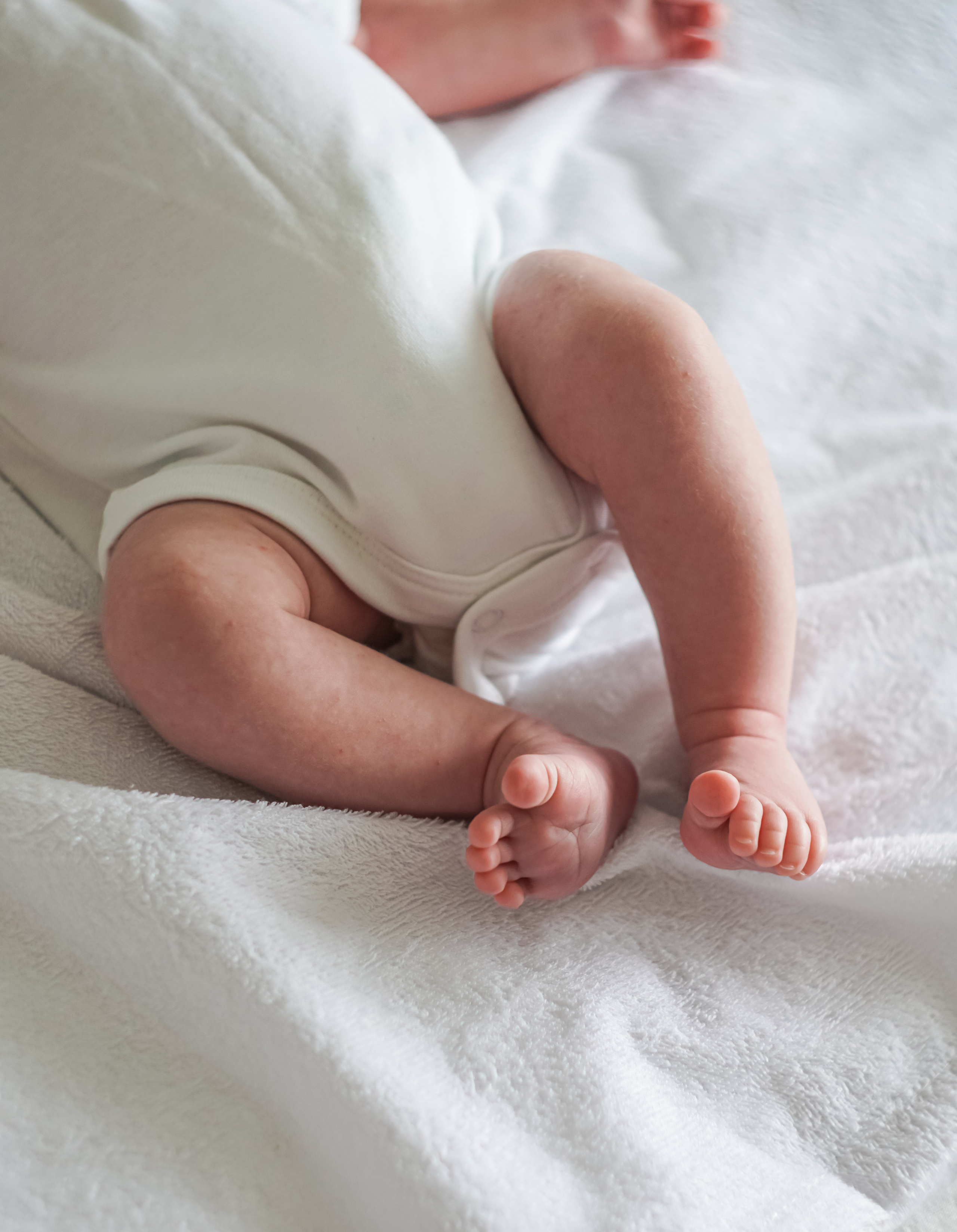 Первые недели жизни. Фотограф Софья Горбунова