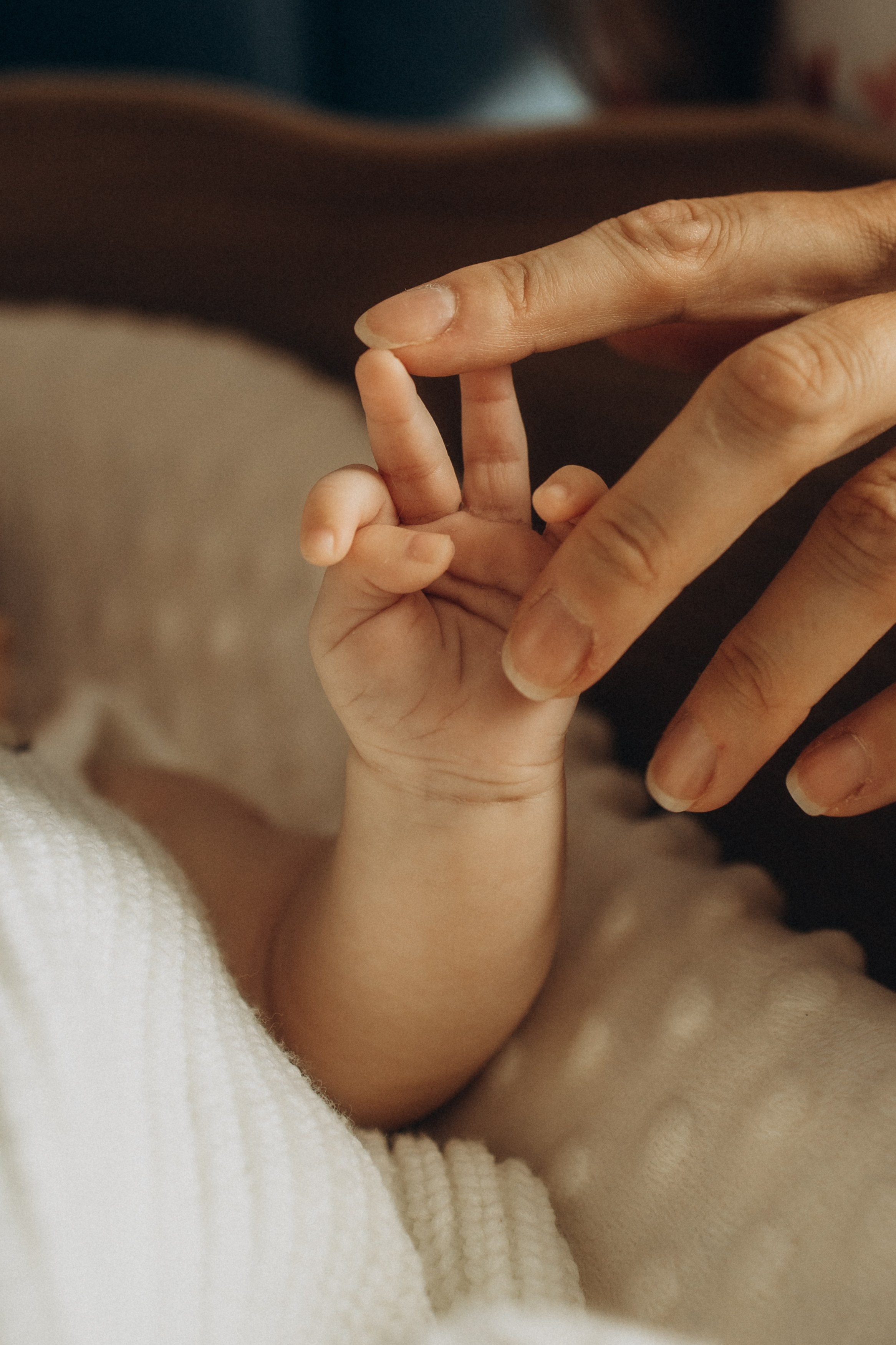 фотосессия новорожденного, фотосессия новорожденных, ньюборн, пушкин, павловск, спб, семейная фотосессия