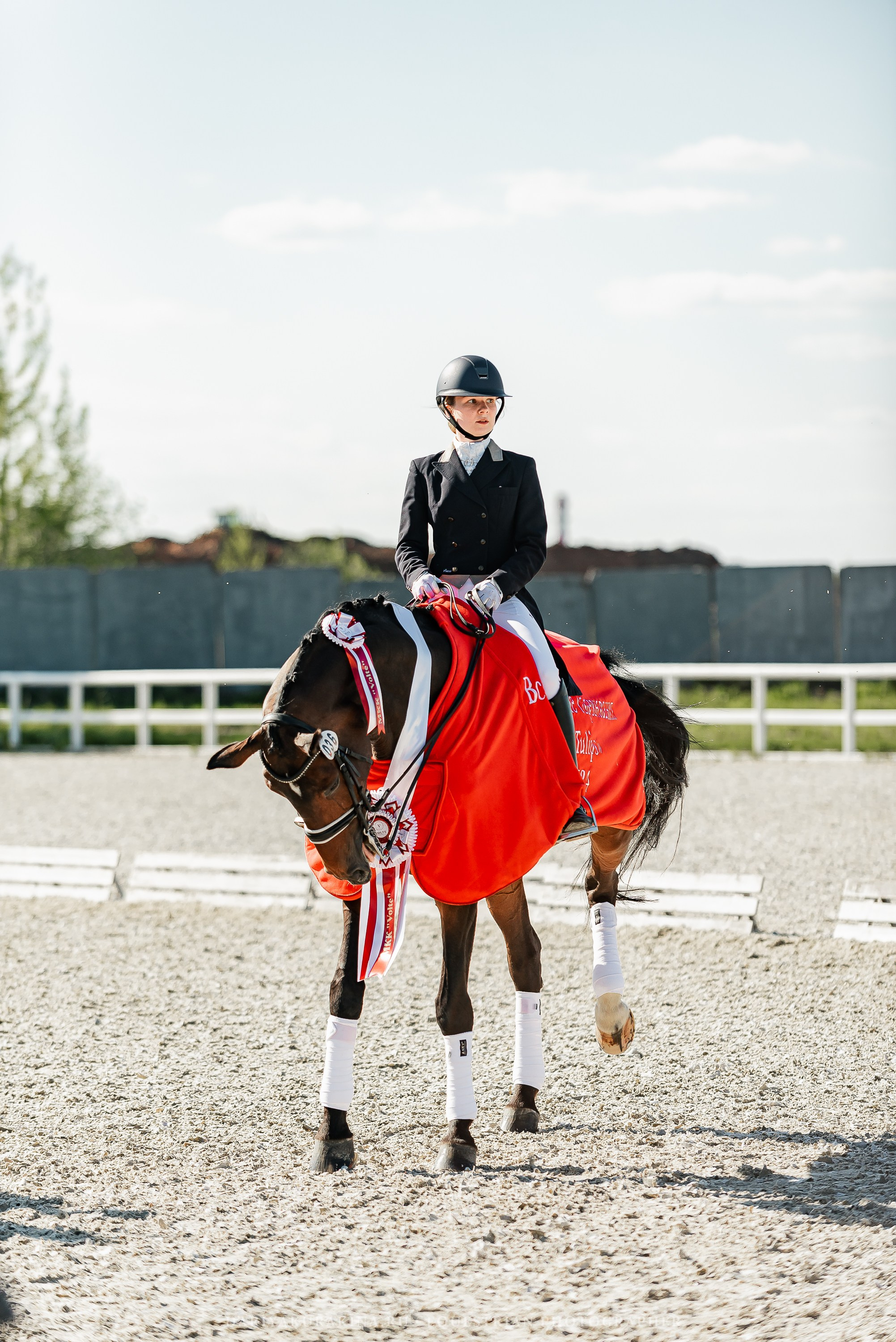 РЕПОРТАЖ МКК ВОЛЬТ «LA TULIPS». Конный фотограф Куракина Дарья • Фотосессии с лошадьми