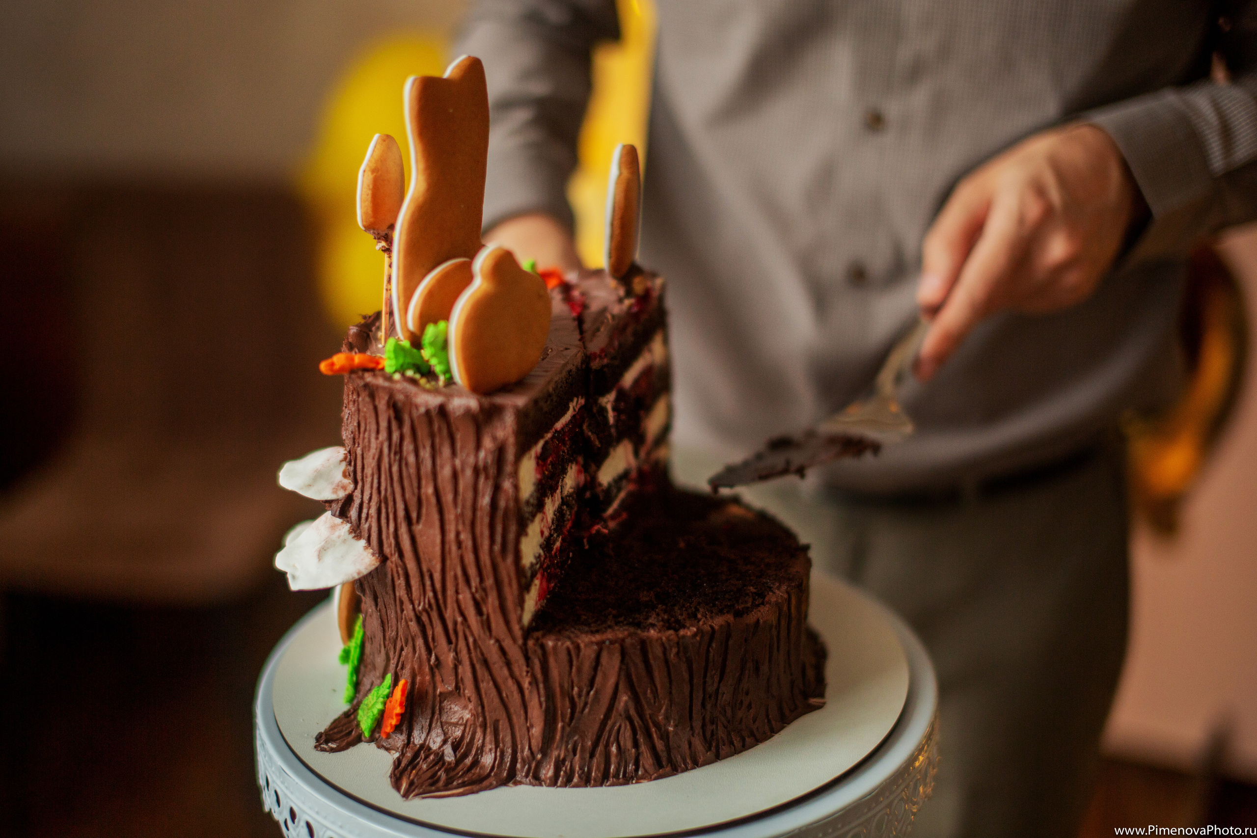 День Рождения. Семейный и детский фотограф в Петрозаводске
