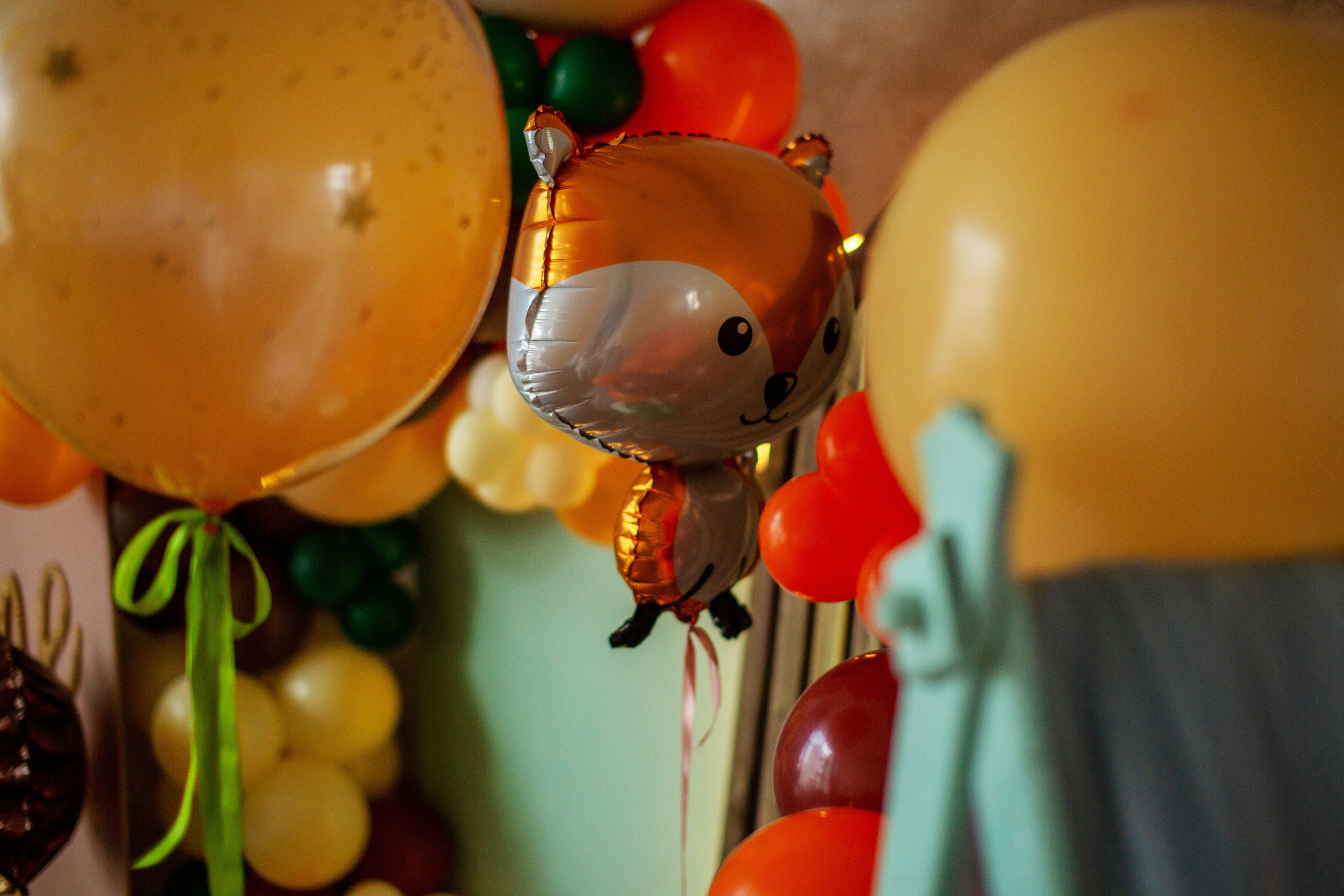 День Рождения. Семейный и детский фотограф в Петрозаводске