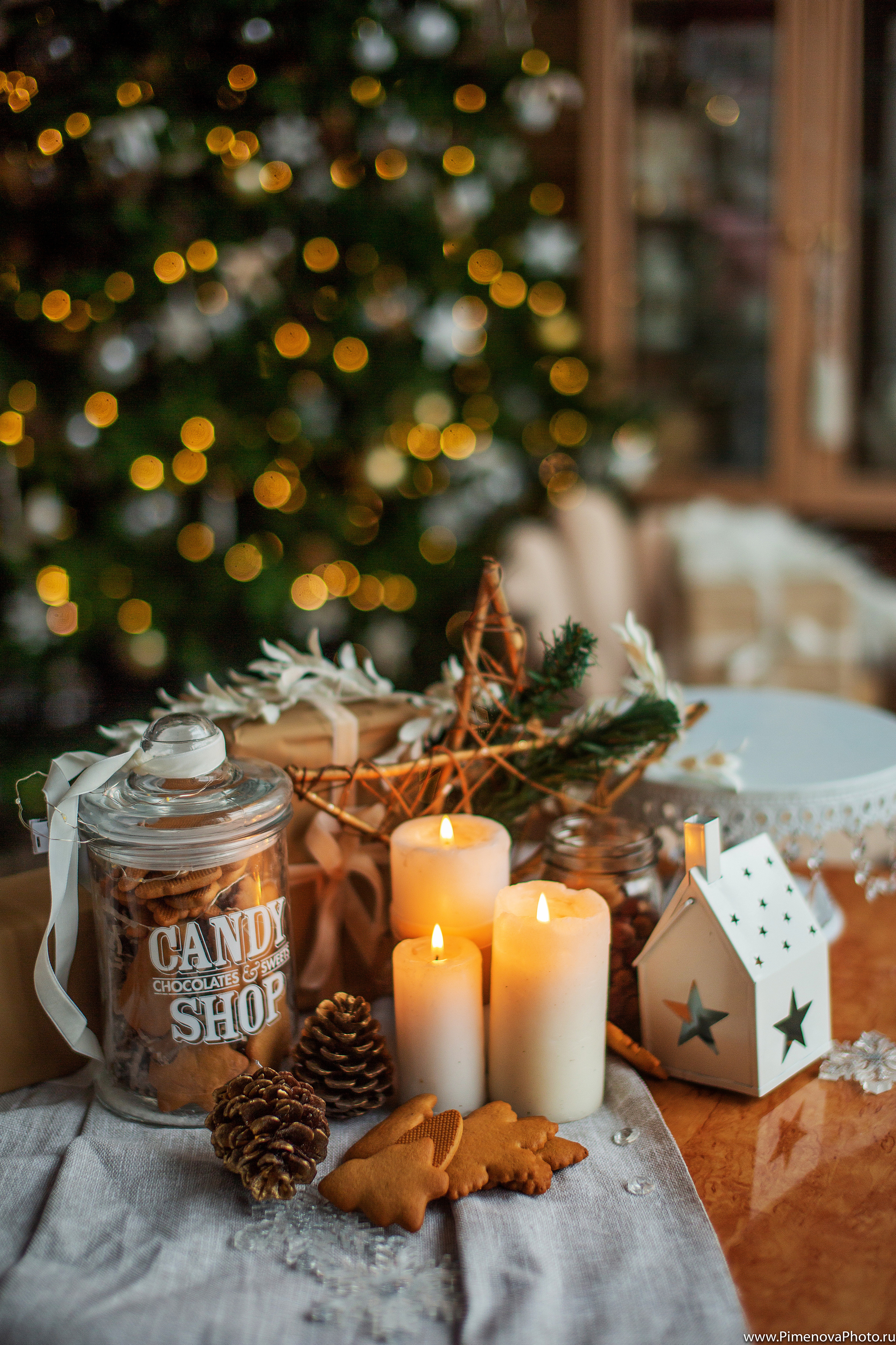 Новогодняя Семейная Фотосъёмка. Семейный и детский фотограф в Петрозаводске