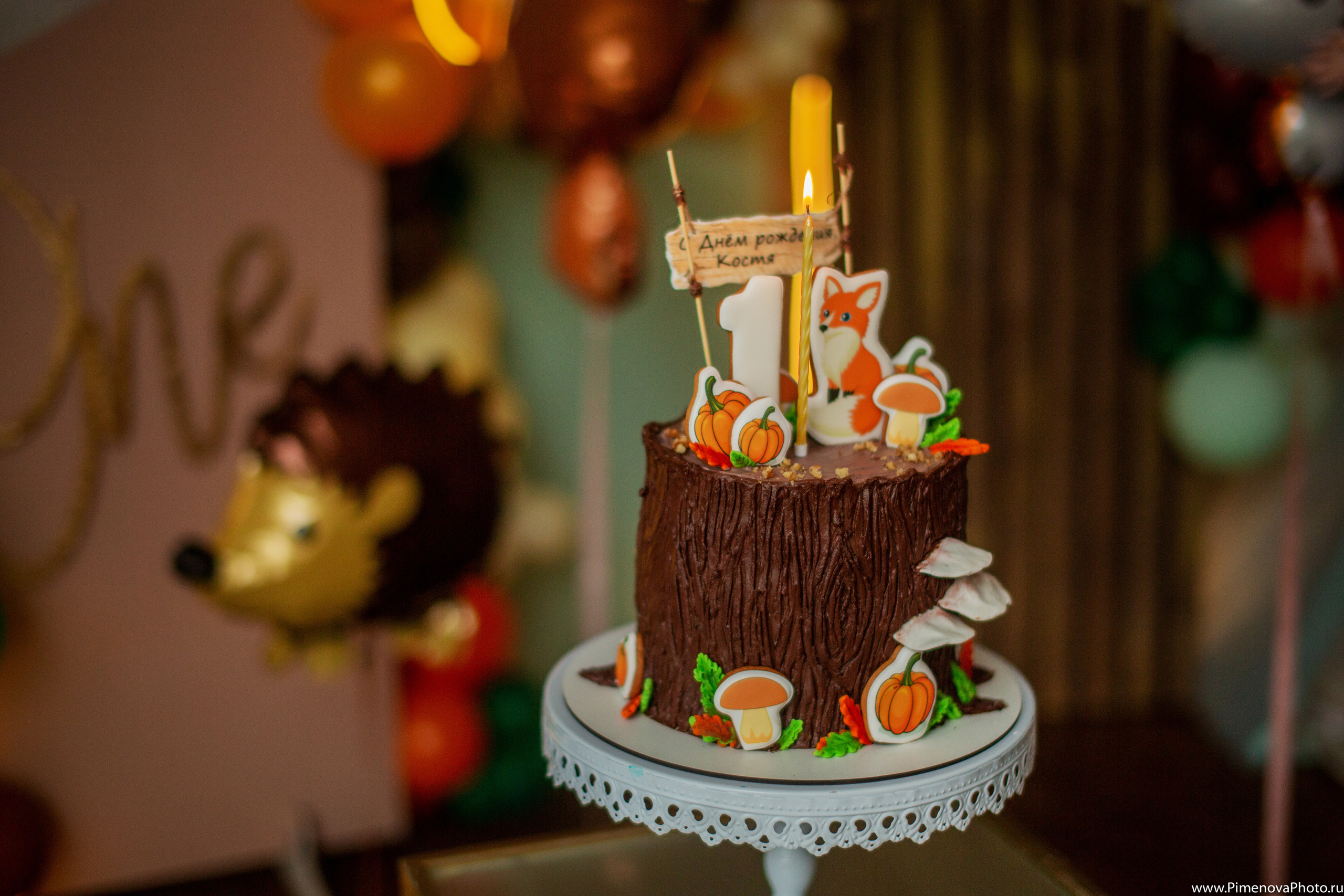 День Рождения. Семейный и детский фотограф в Петрозаводске