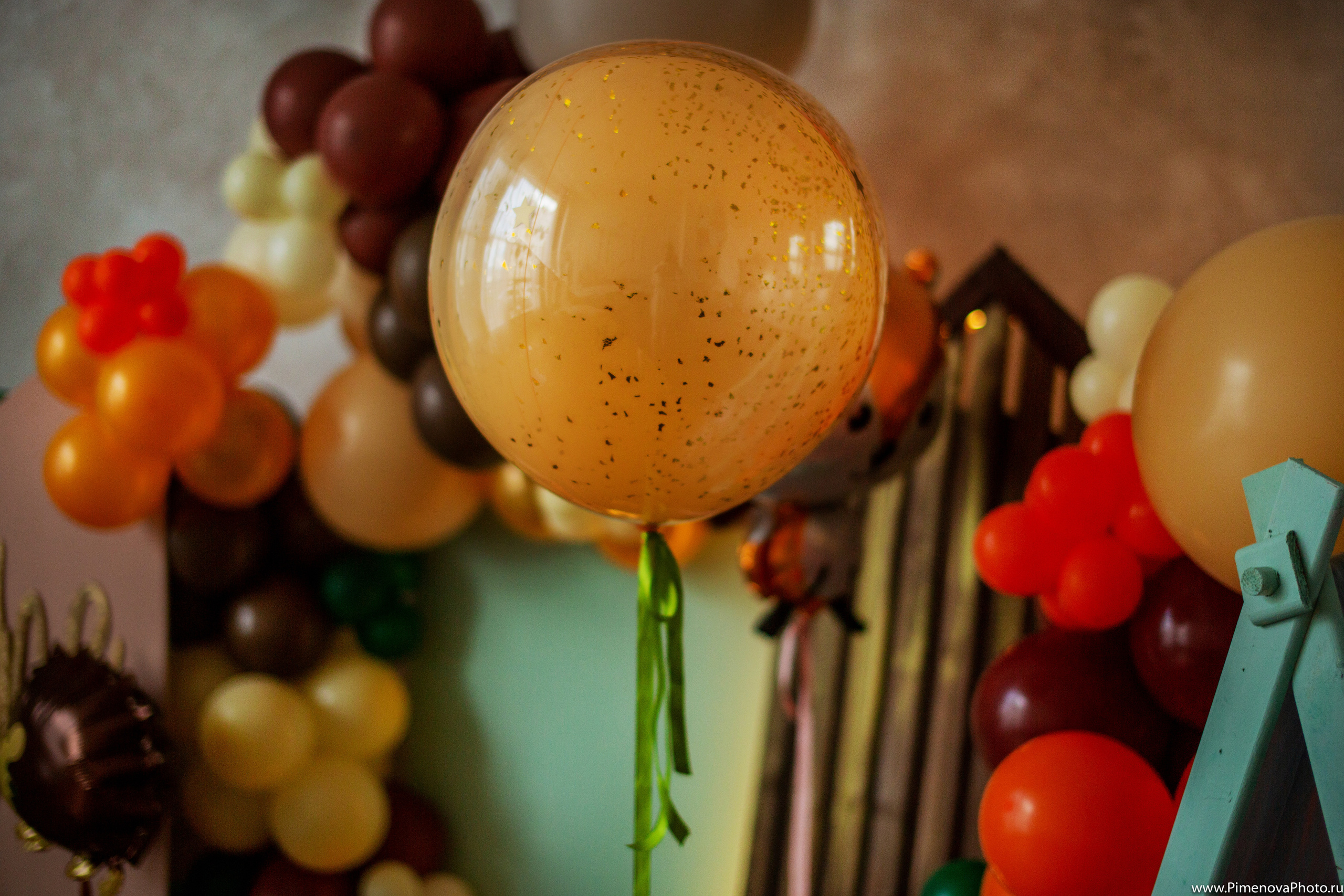 День Рождения. Семейный и детский фотограф в Петрозаводске