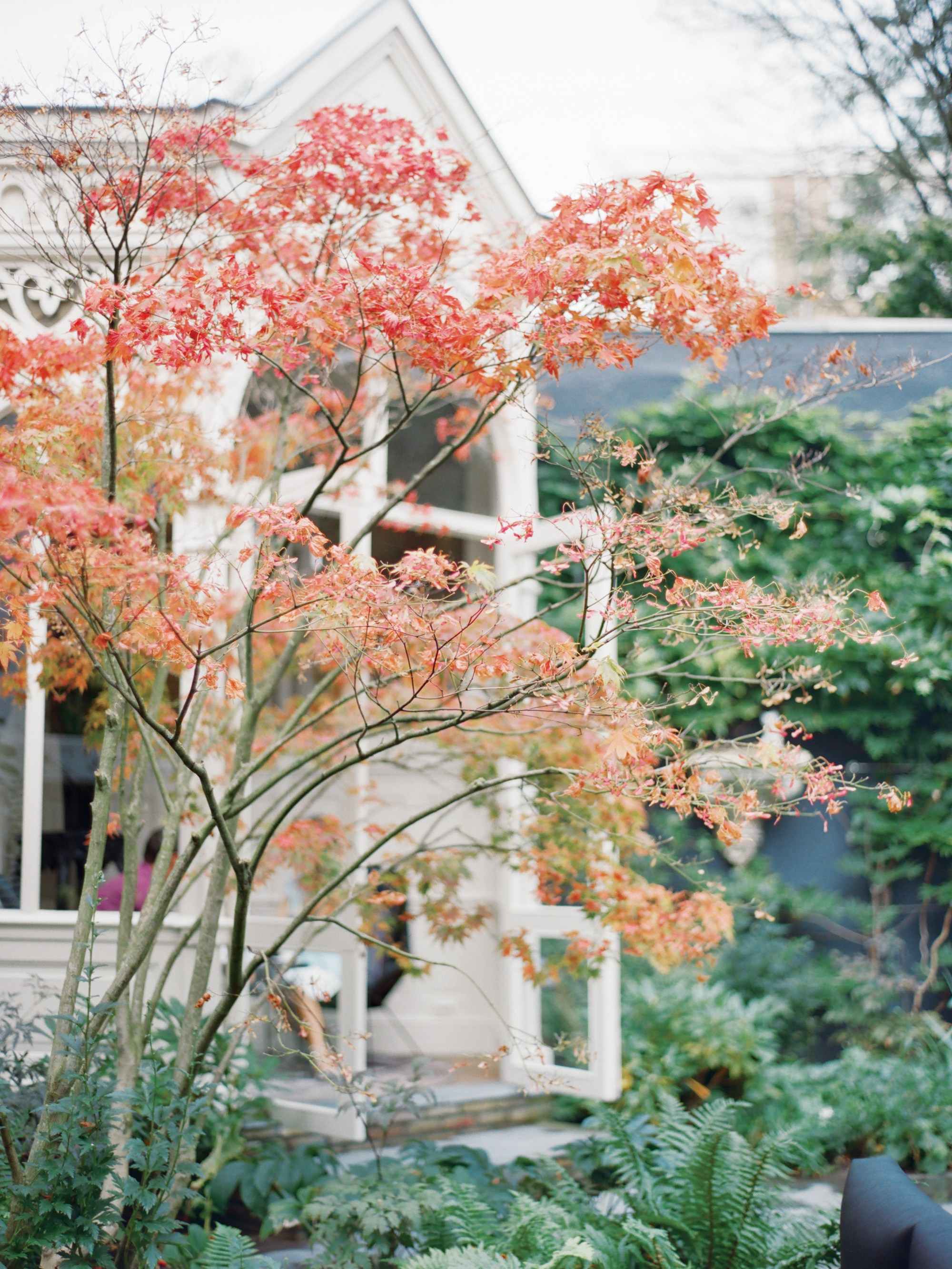 Лиза и Юрий, годовщина в Амстердаме. Изящная фотография | Ксения Милушкина