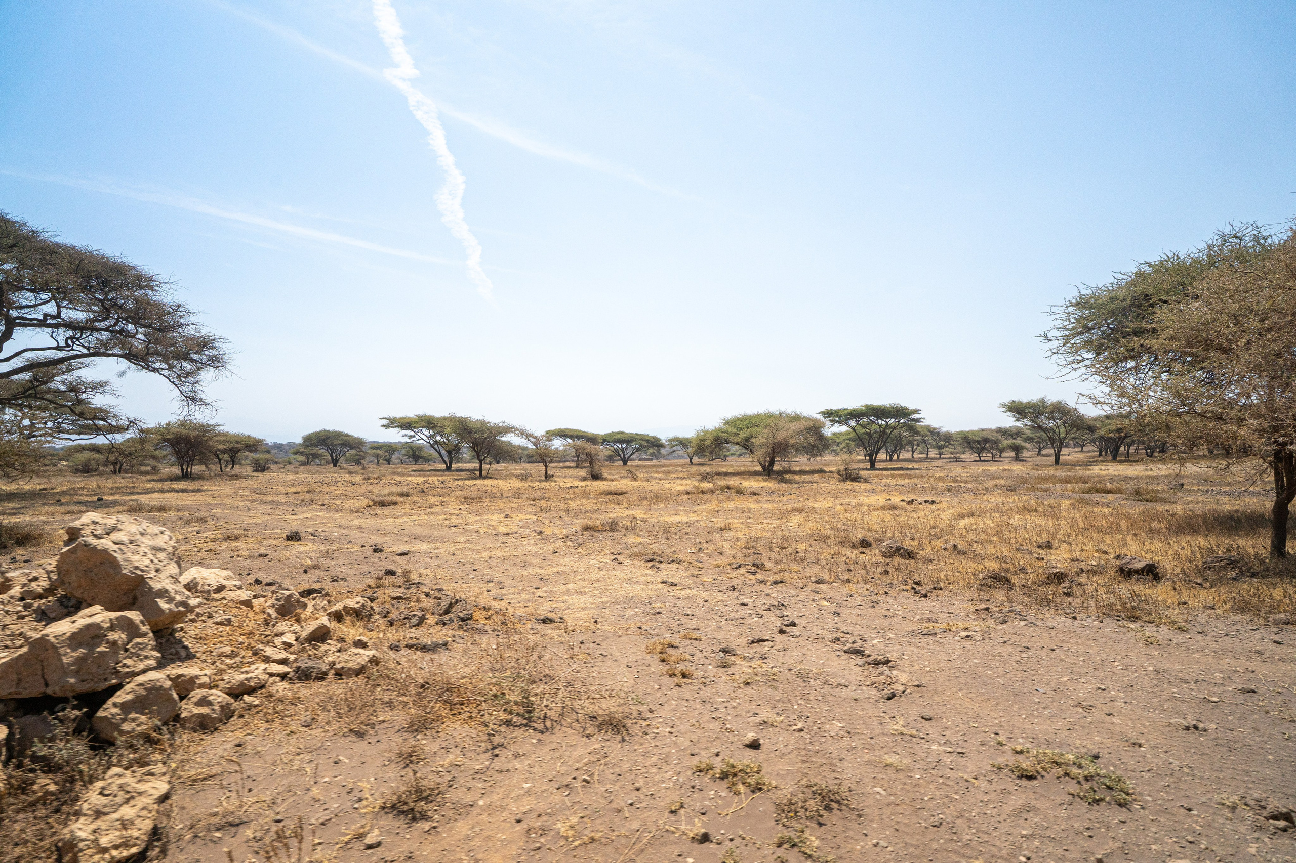 Танзания, сафари, 2025. Творческие сьемки