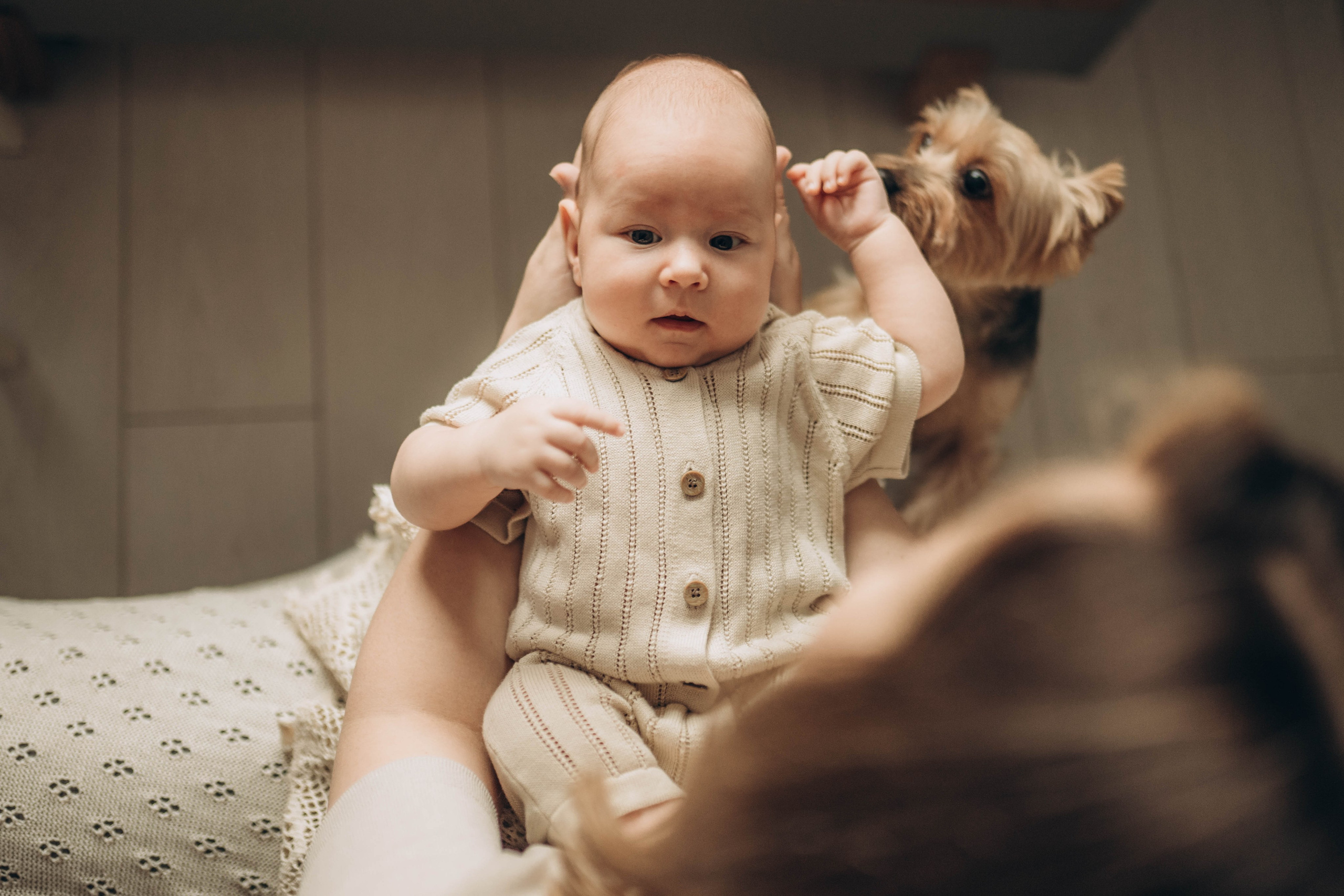 семья фотосессия семейная ньюборн фотограф лайфстайл семейная новорожденные фотография 