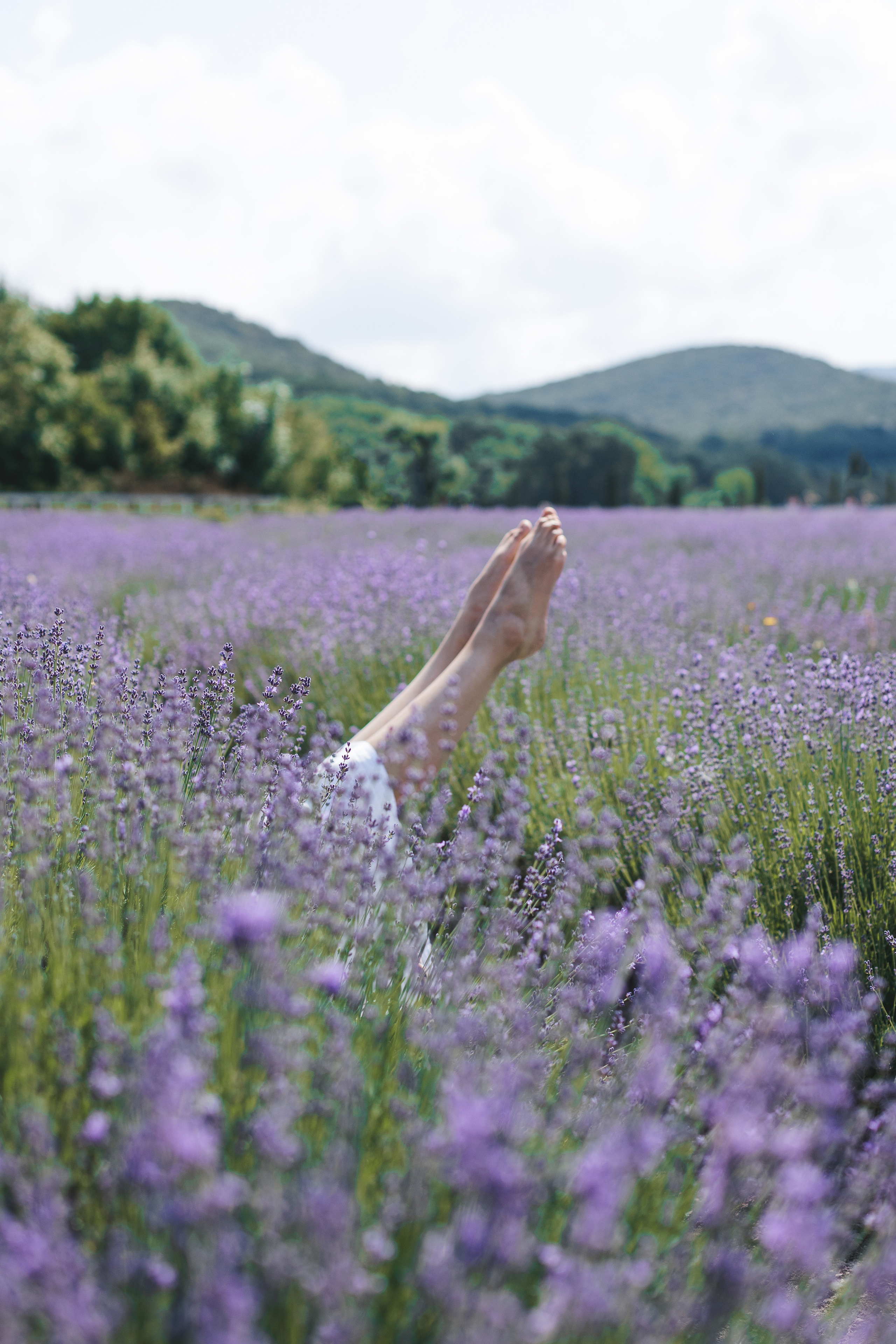 Лавандовое настроение. Фотограф в Краснодаре