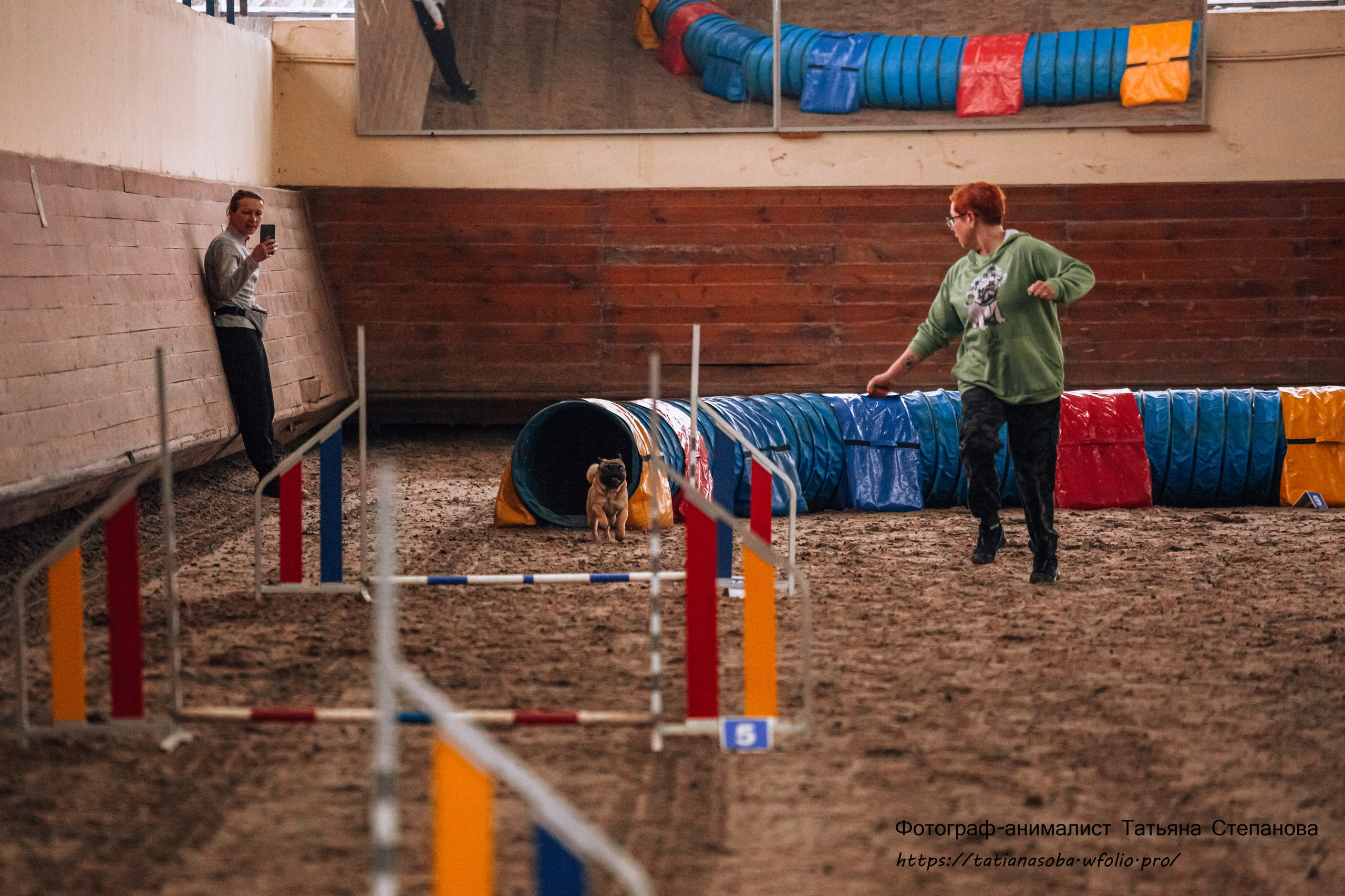 Соревнования по Аджилити 25.02.2024. Фотограф-анималист Татьяна Степанова