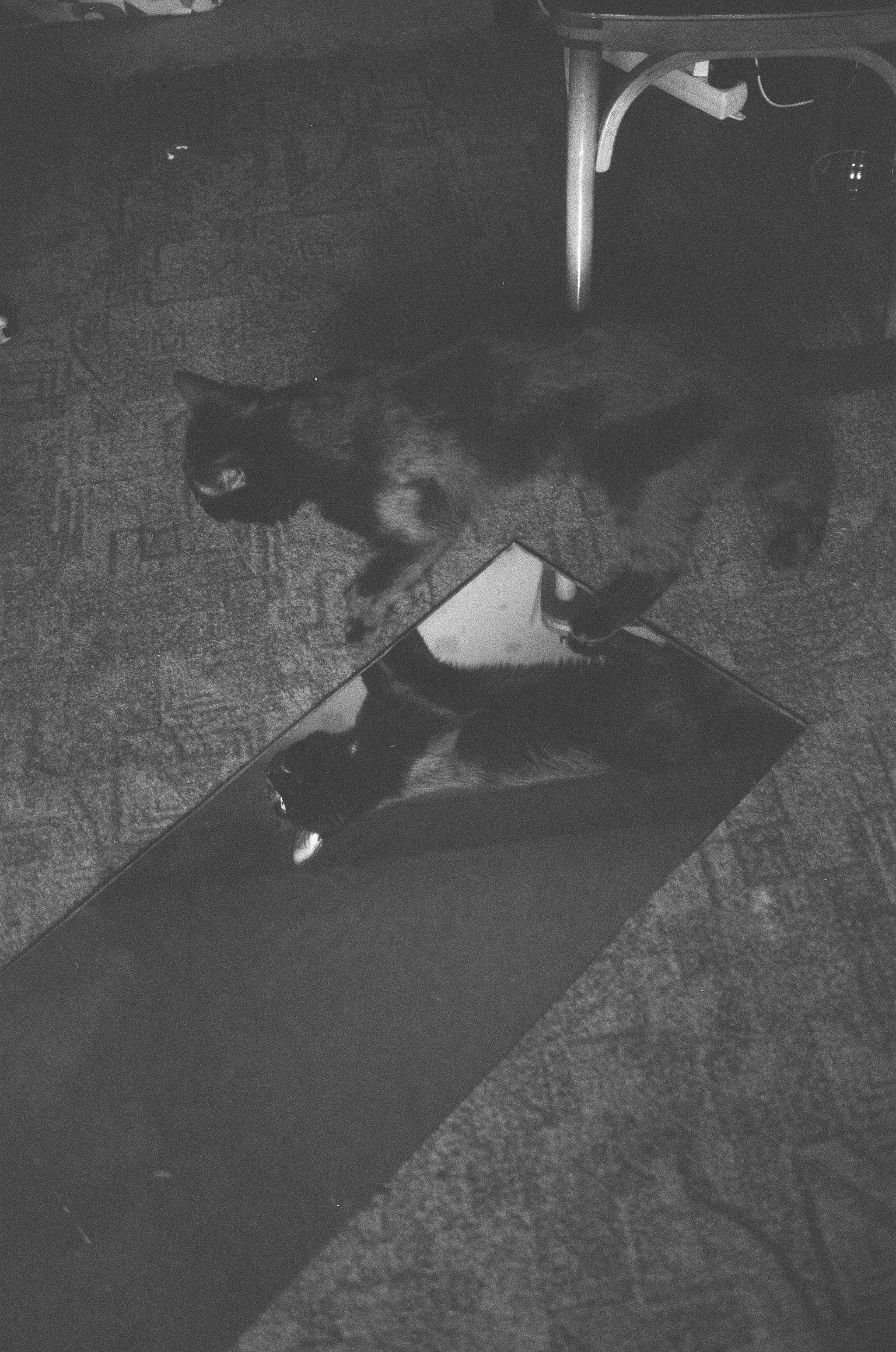 Пятница. Арт-фотограф Романда Ч Нижний Новгород