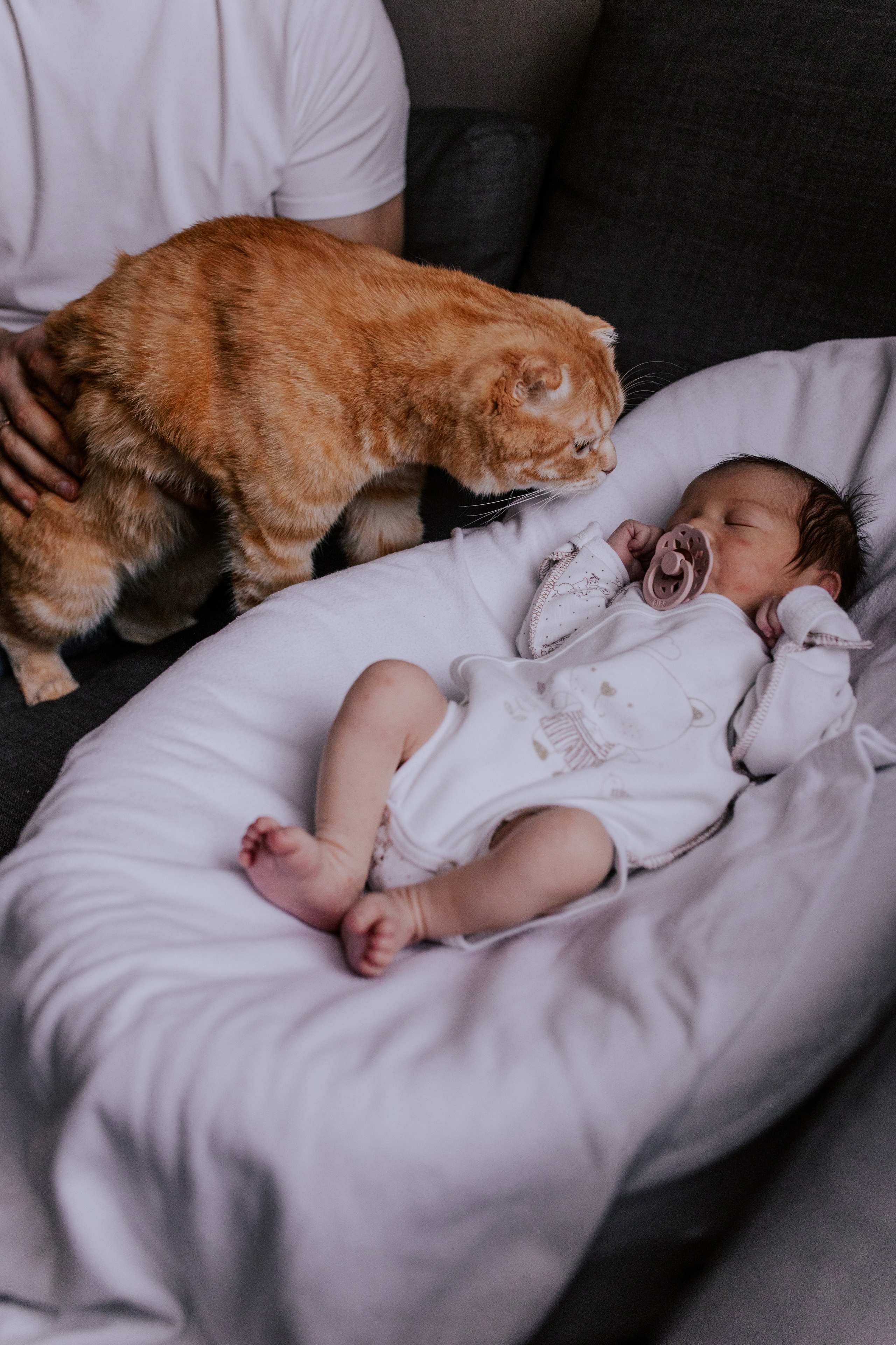 Домашняя съёмка с новорожденным в Тюмени. Фотограф Шелудкова Яна, город Тюмень