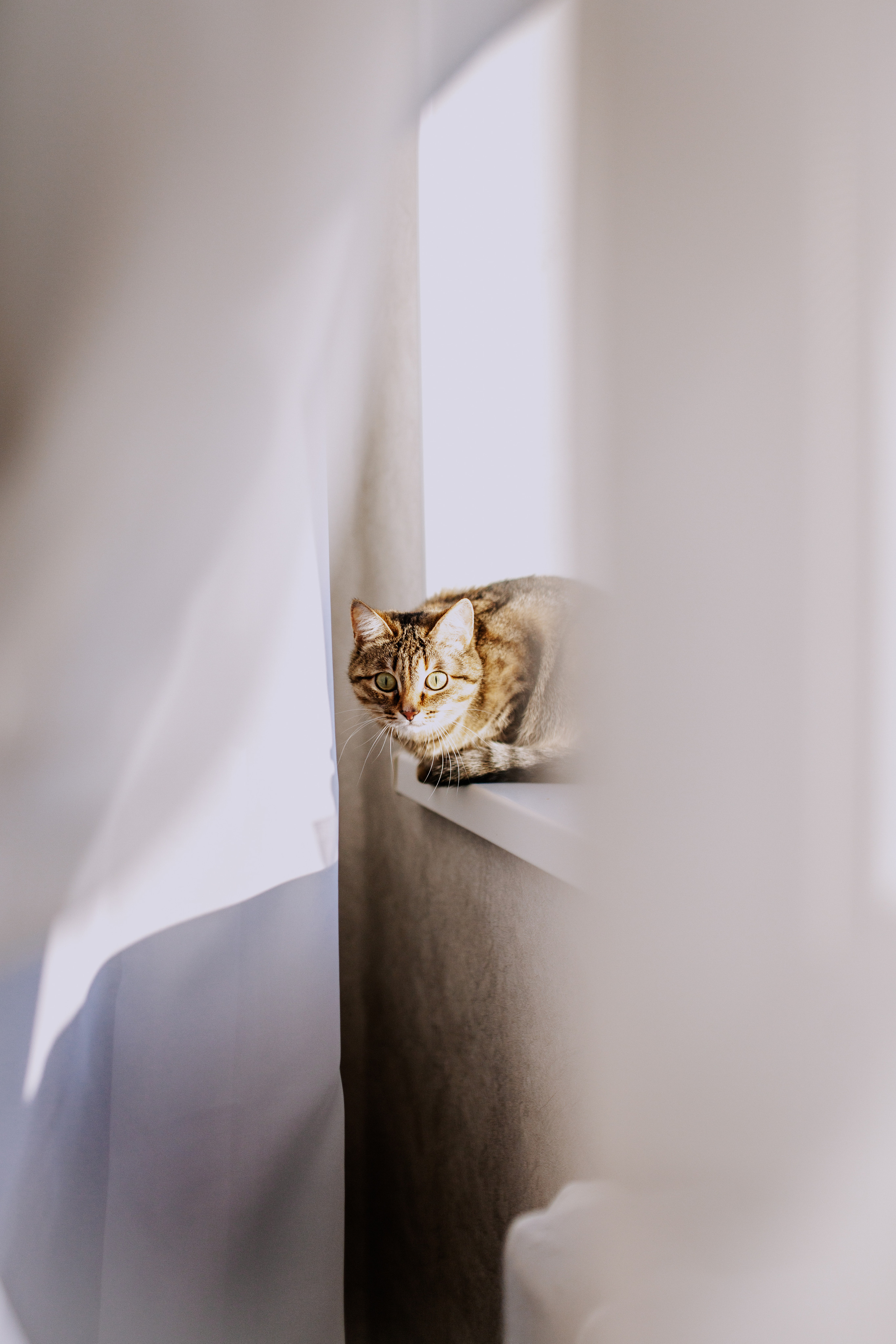 Домашняя новогодняя фотосессия в Тюмени. Фотограф Шелудкова Яна, город Тюмень